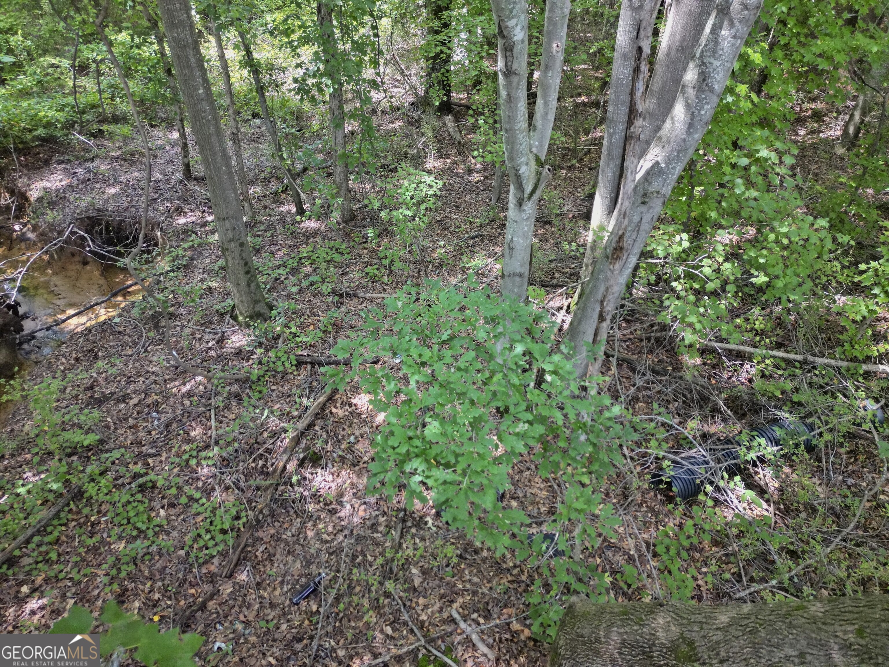 2095 Sigman Road Nw Property Photo 7