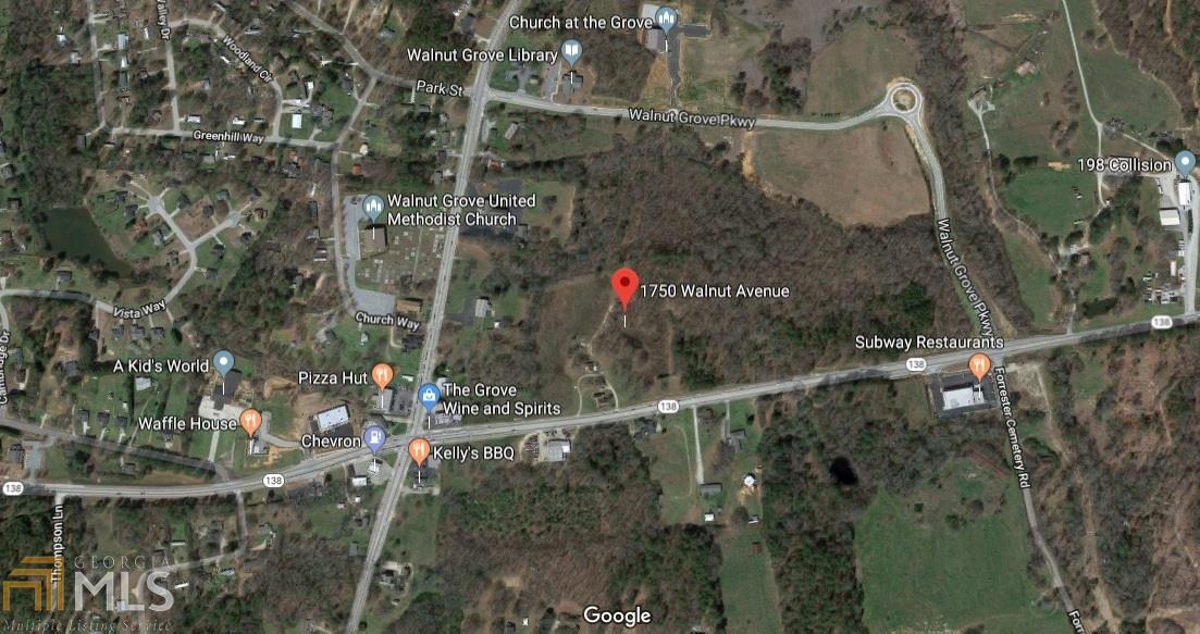 1750 Ga 138 Highway Property Photo 6
