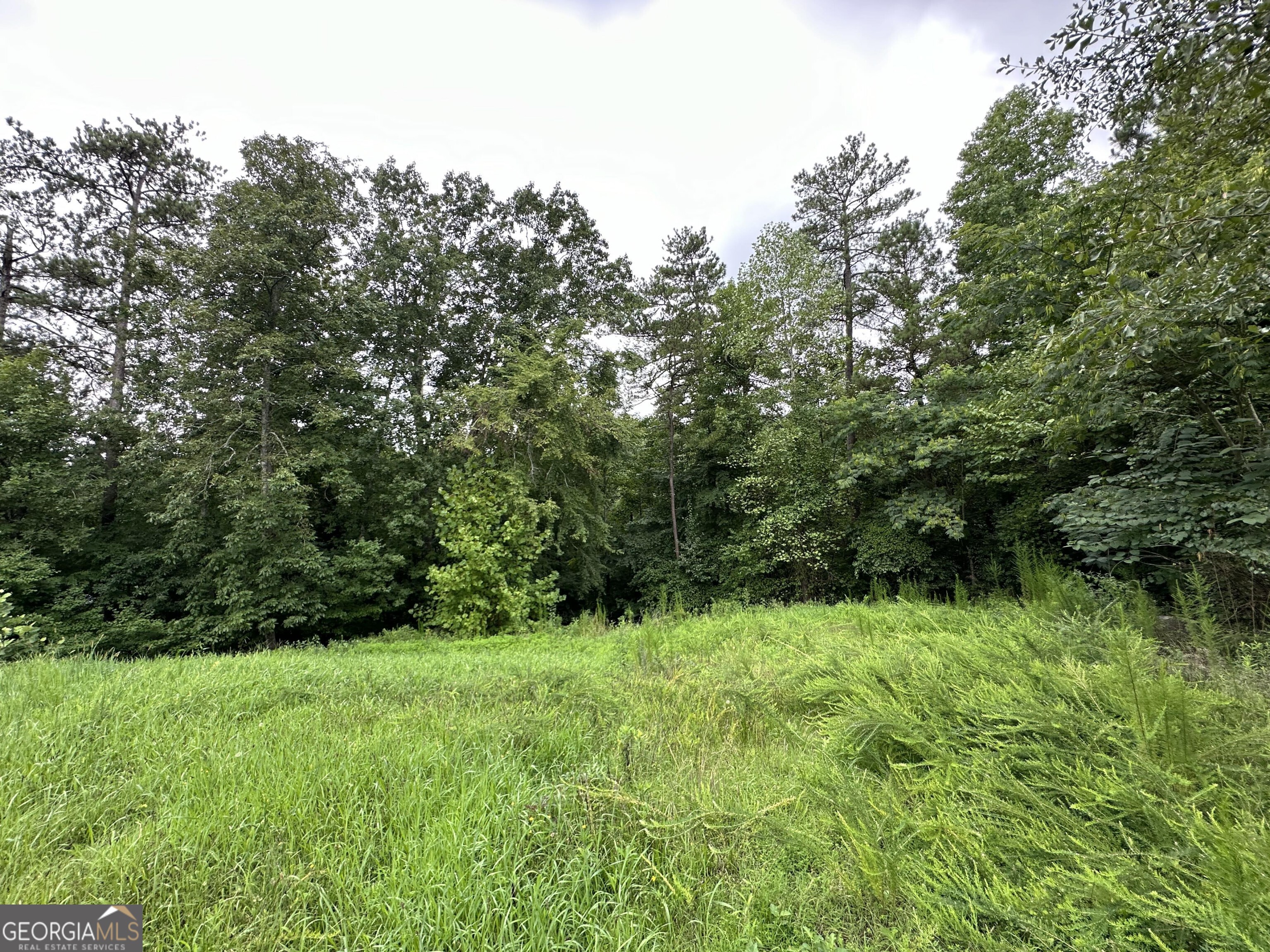 2509 Slater Mill Road Property Photo 3