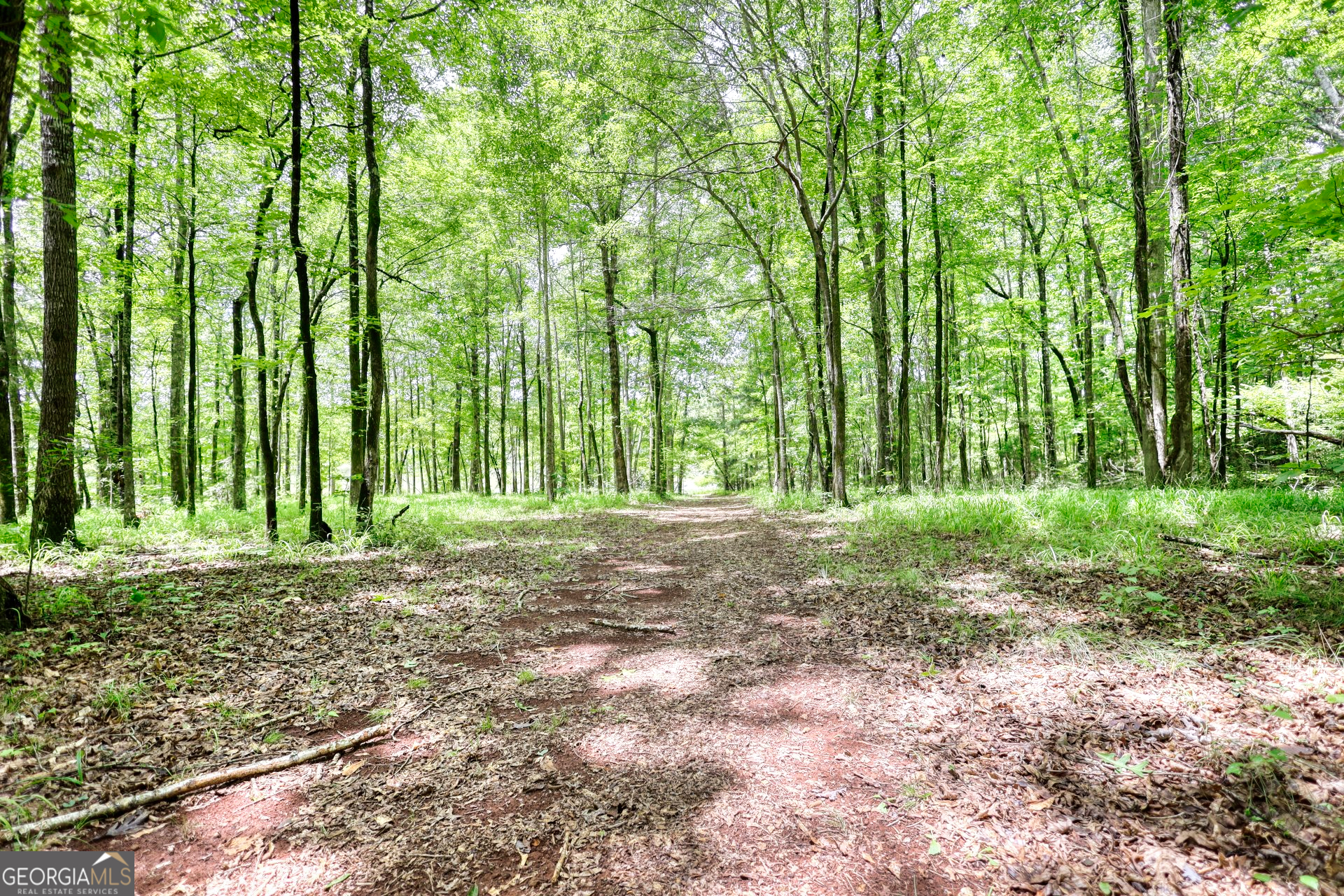 116 Woolsey Creek Trail Property Photo 54