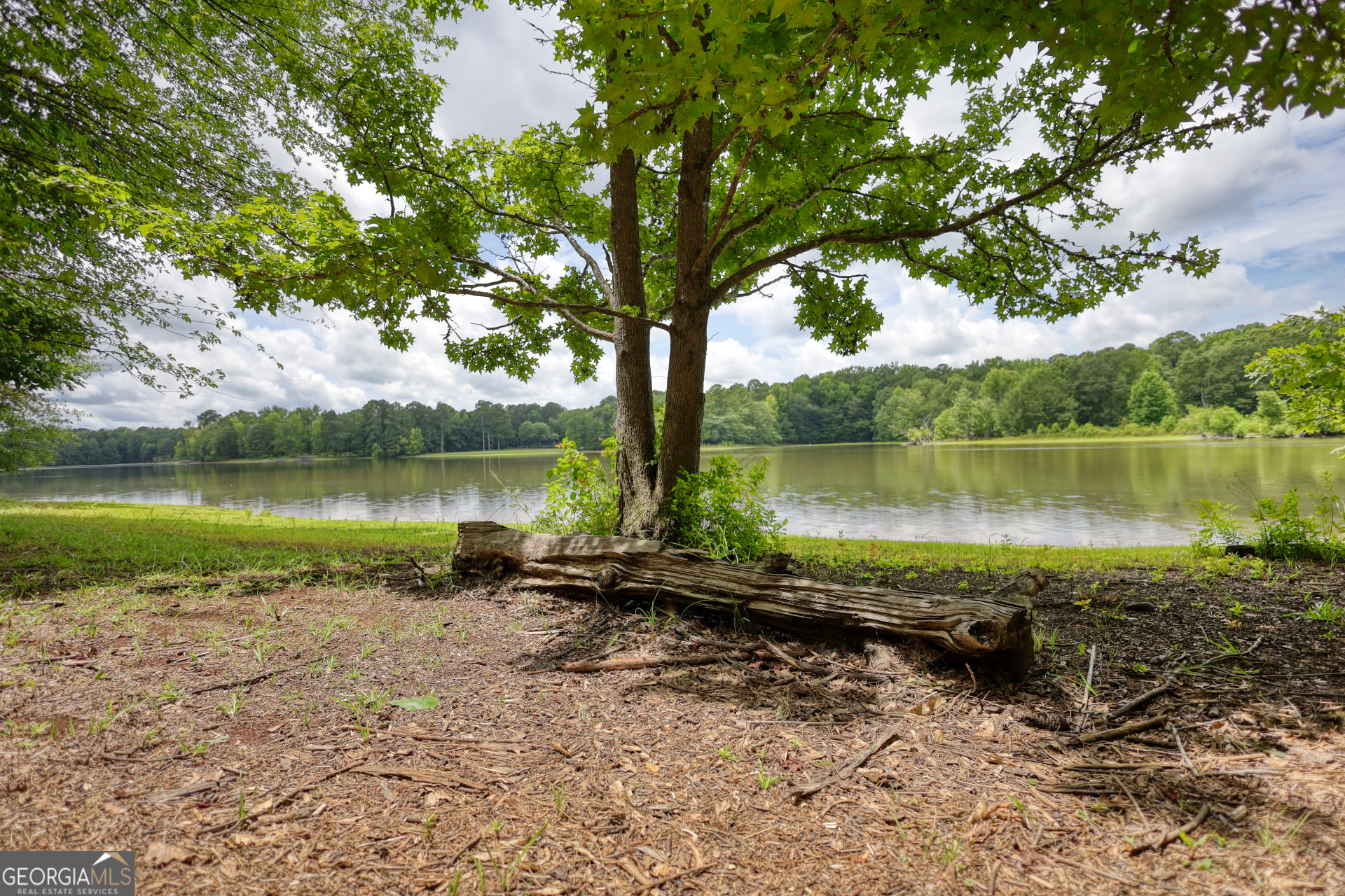116 Woolsey Creek Trail Property Photo 56