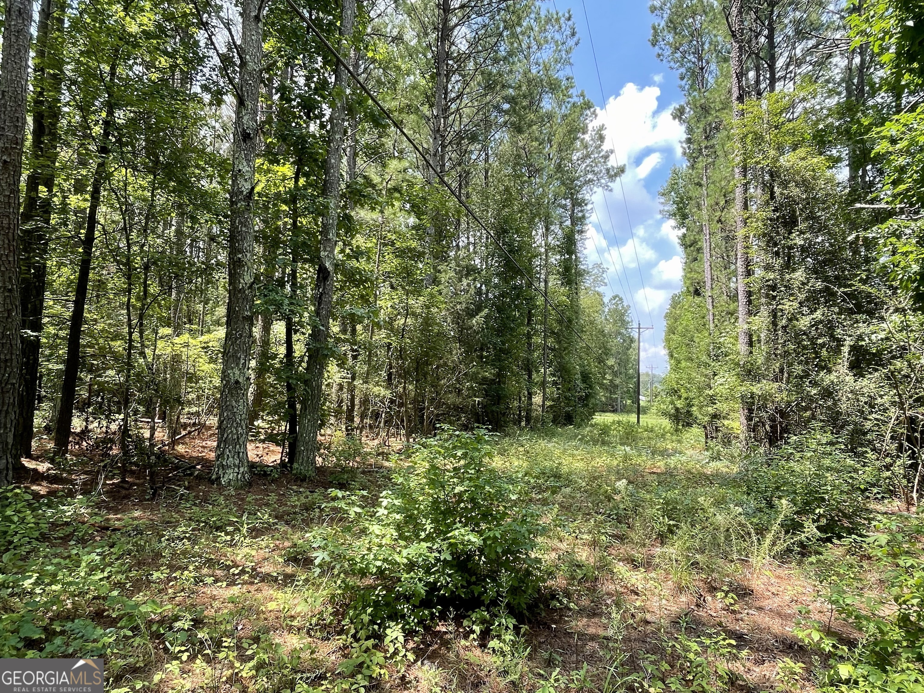 0 Welcome To Arnco Road Property Photo 4