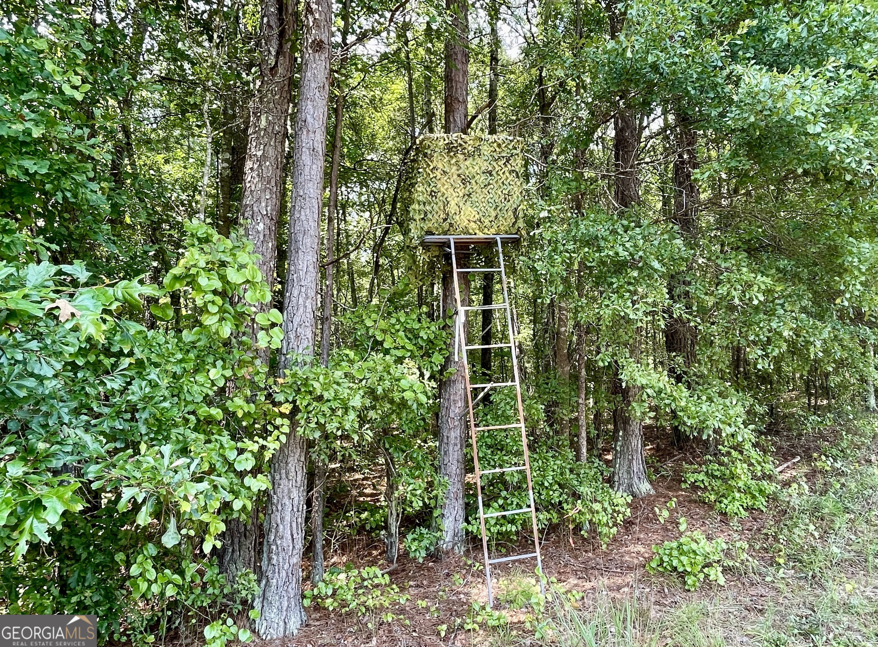 0 Welcome To Arnco Road Property Photo 15