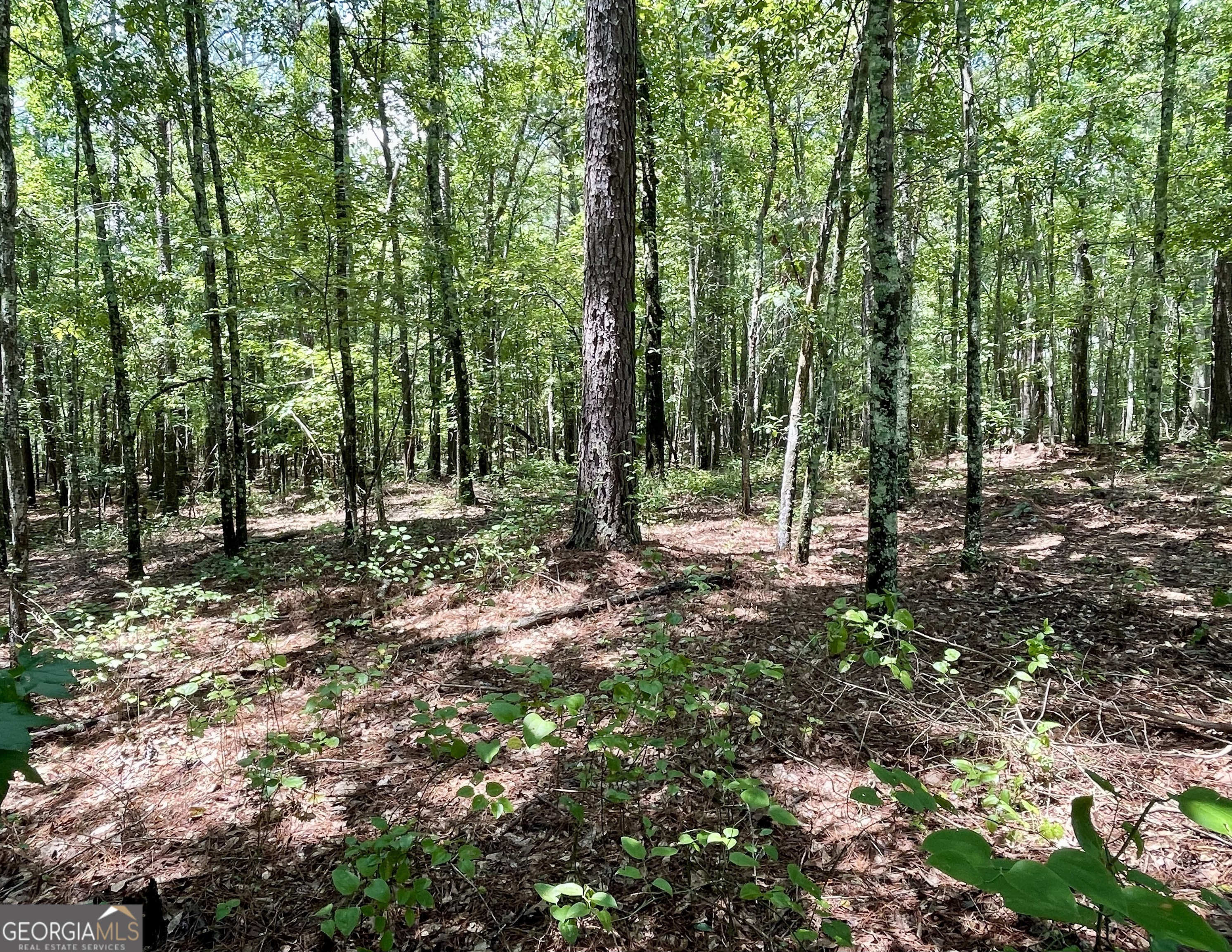 0 Welcome To Arnco Road Property Photo 16