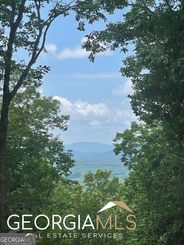Lot 212 High Rock Trail Property Photo 1