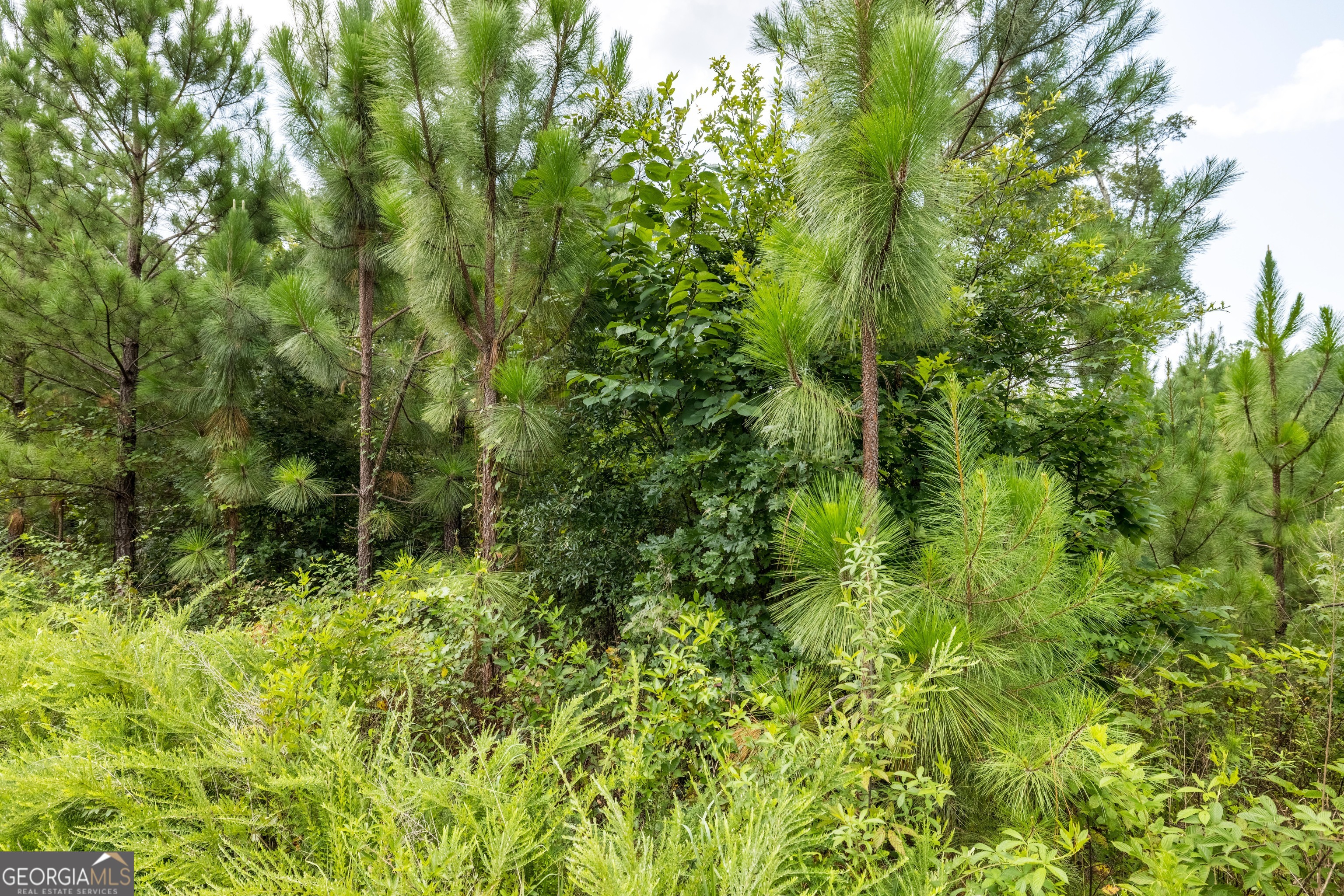 36 Stargazer Trail Nw Property Photo 54