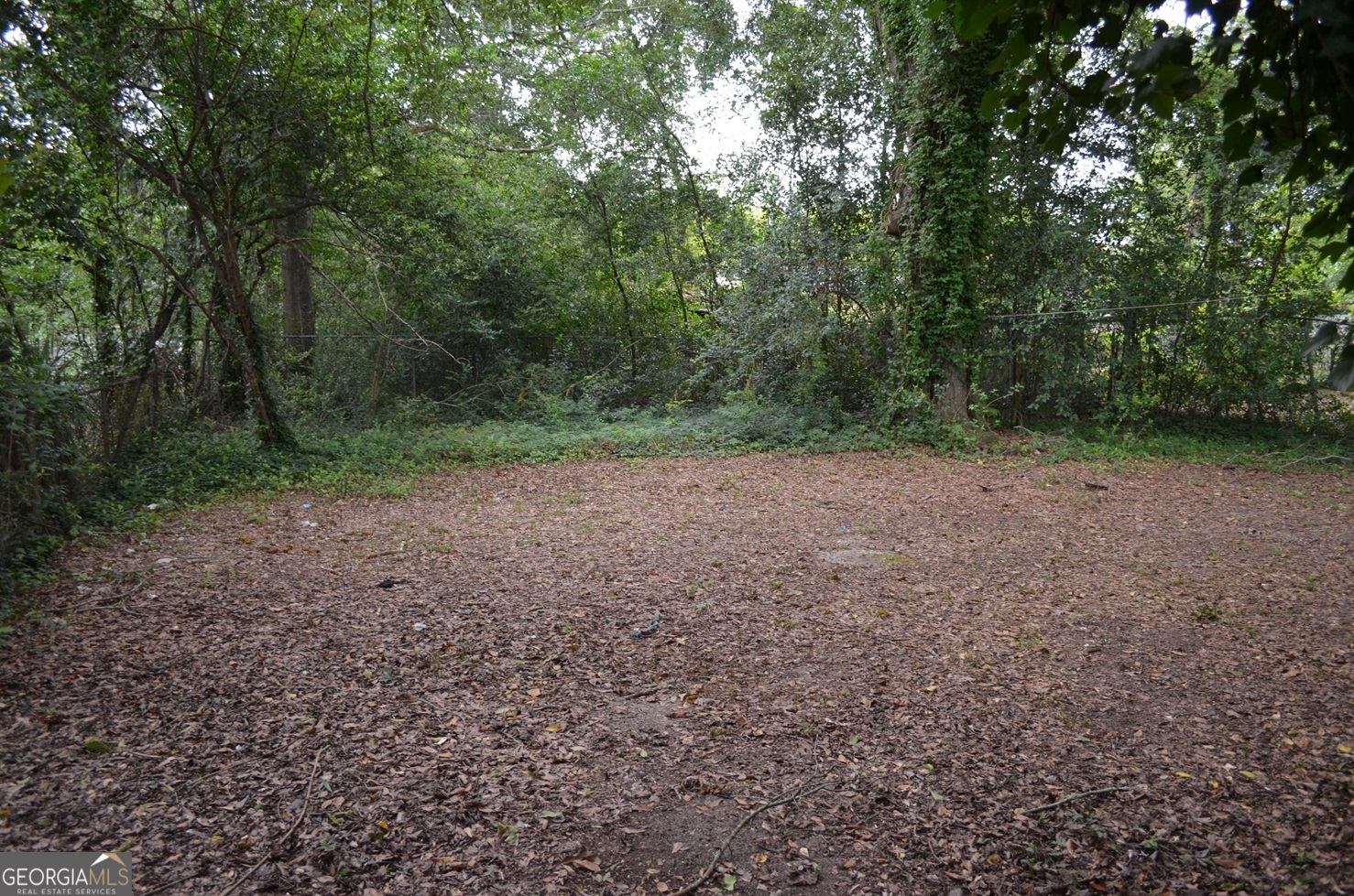 1546 Dexter Avenue Property Photo 10