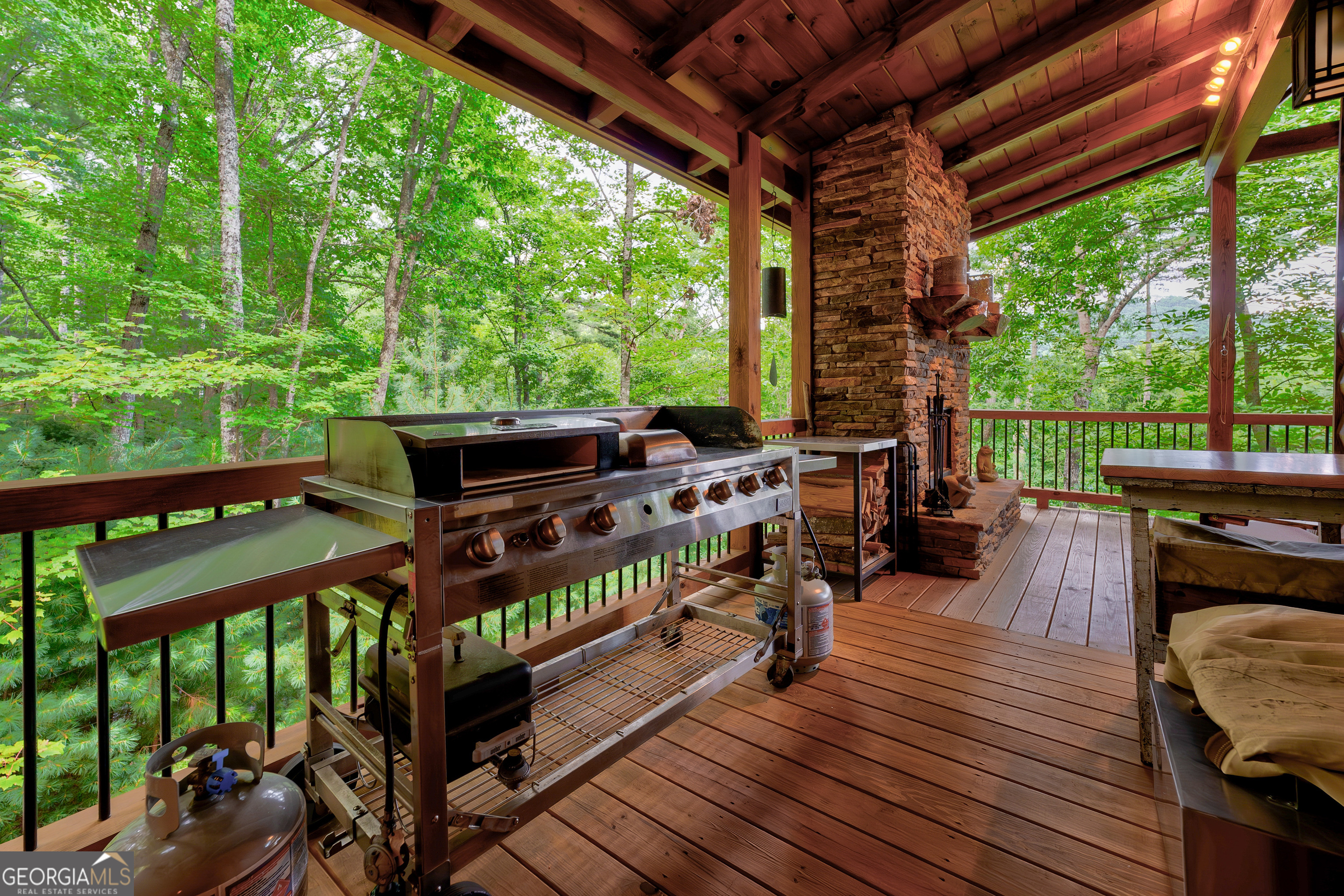 131 Forest Branch Trail Property Photo 61