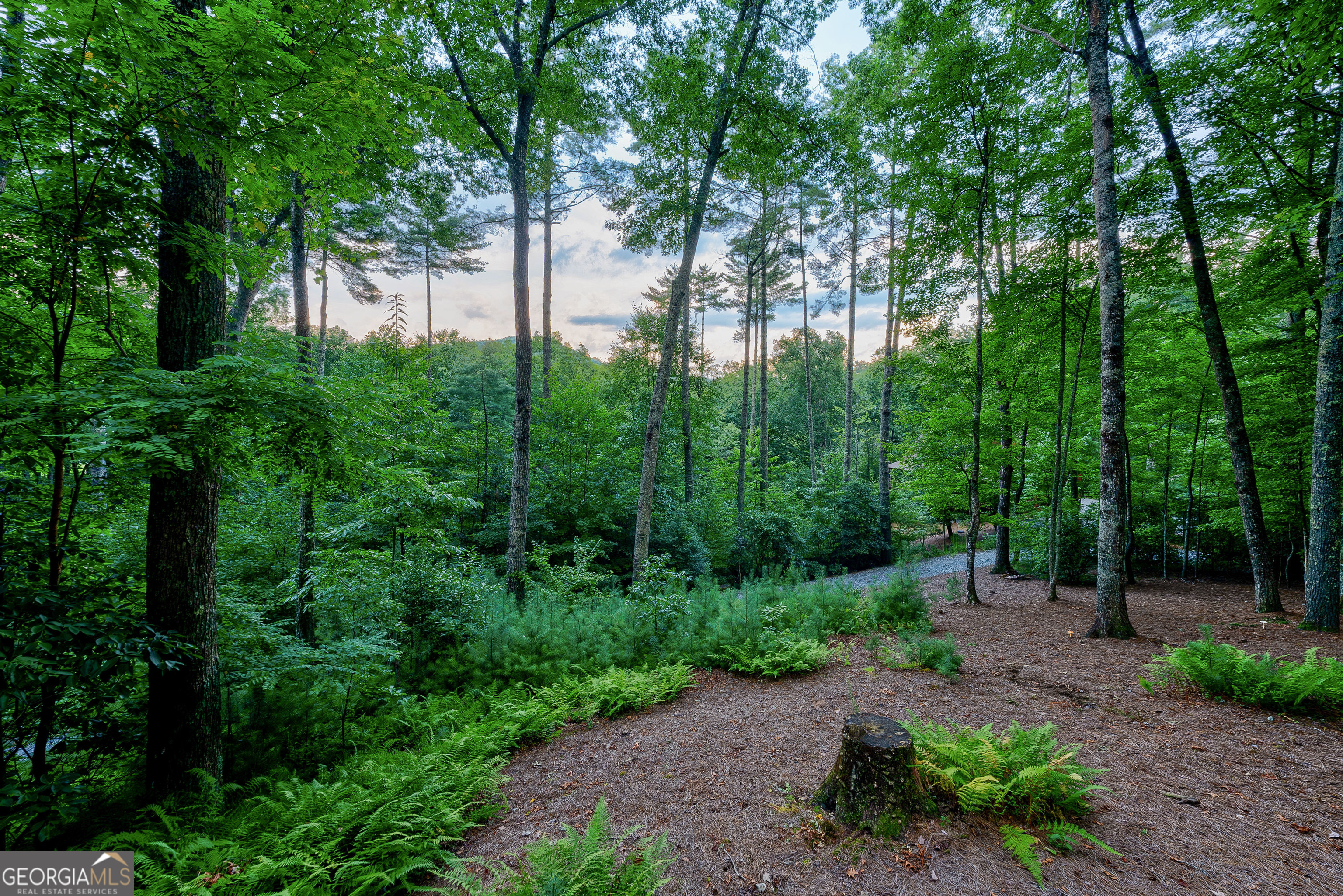 131 Forest Branch Trail Property Photo 65