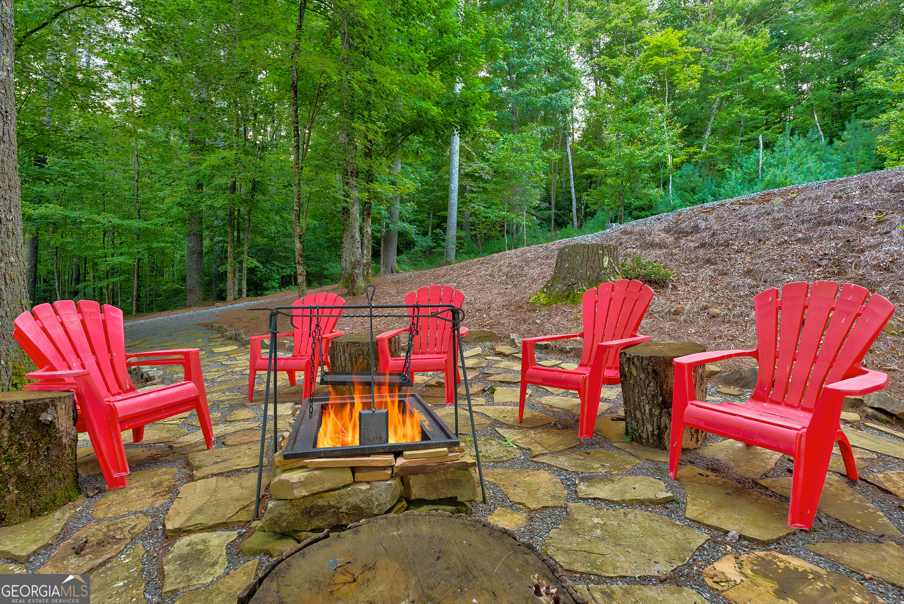 131 Forest Branch Trail Property Photo 66