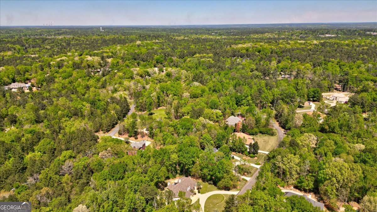 230 Carriage Trail Property Photo 4