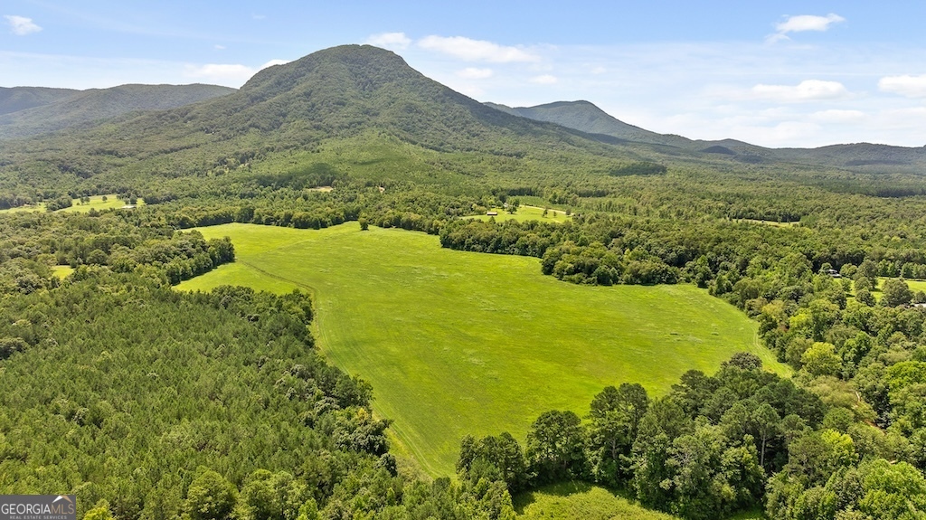 0 Tom Terry Road Property Photo 1