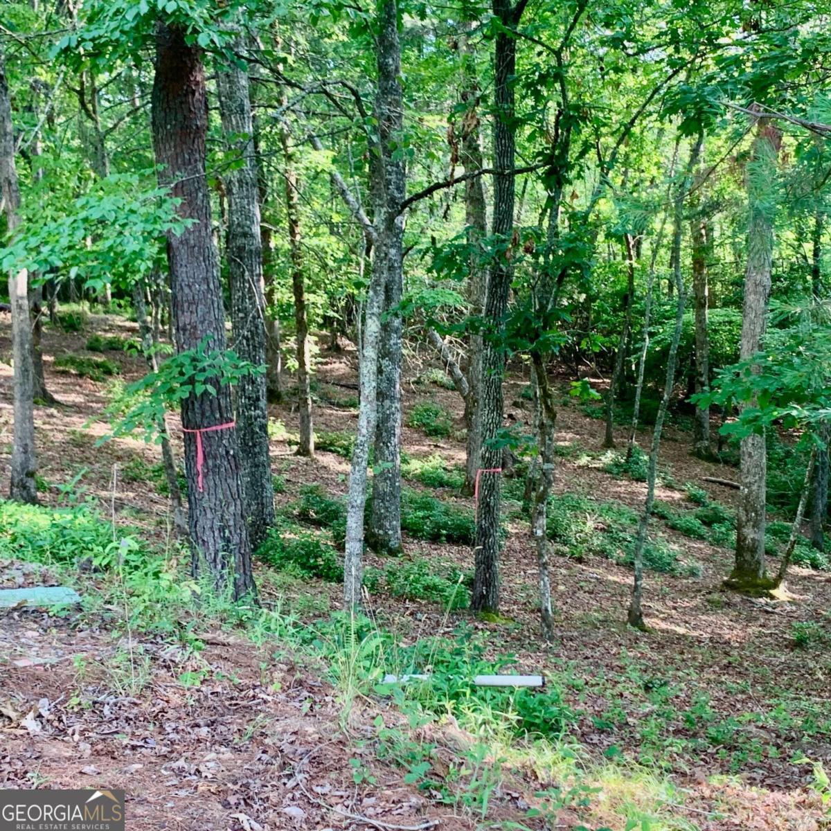 Lot 20 Cricket Lane Property Photo 4