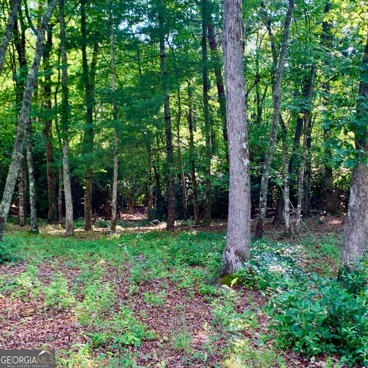 Lot 20 Cricket Lane Property Photo 9