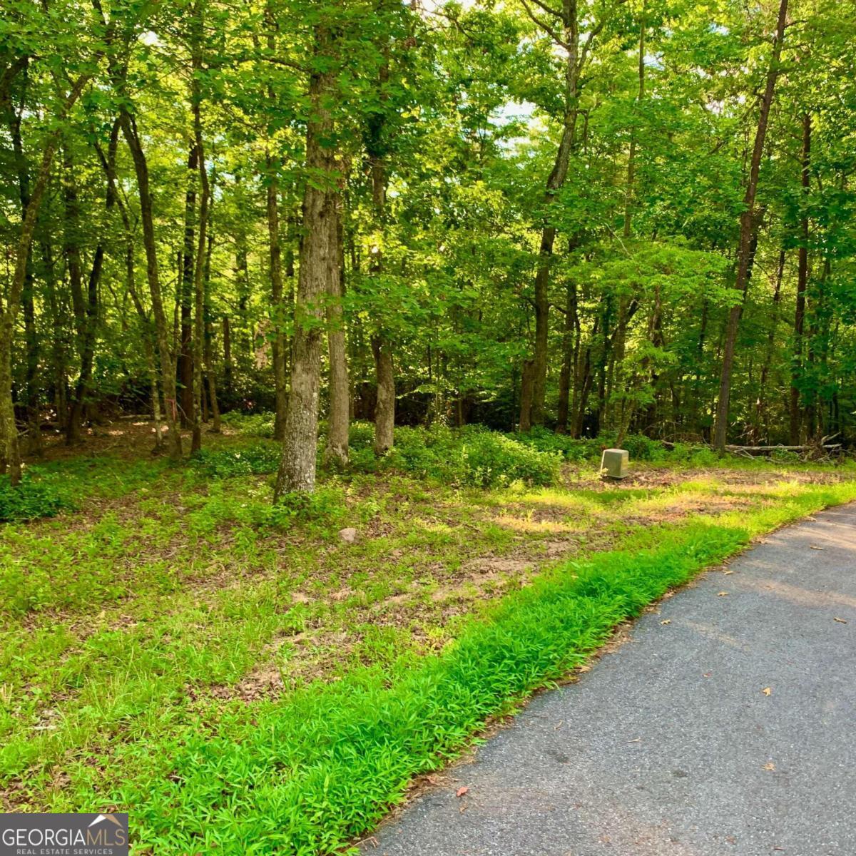 Lot 20 Cricket Lane Property Photo 11
