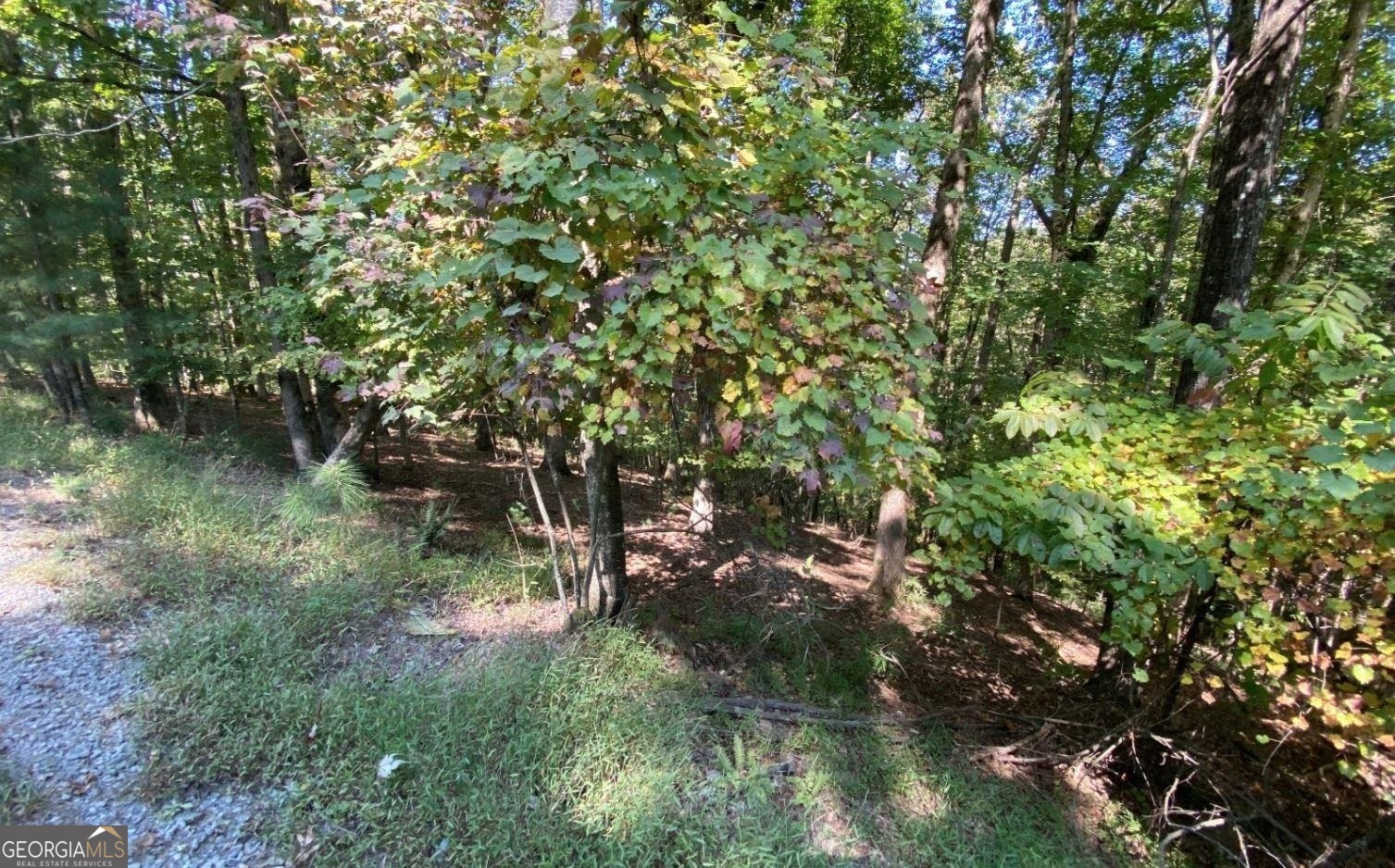 L811 Myna Drive Property Photo 1