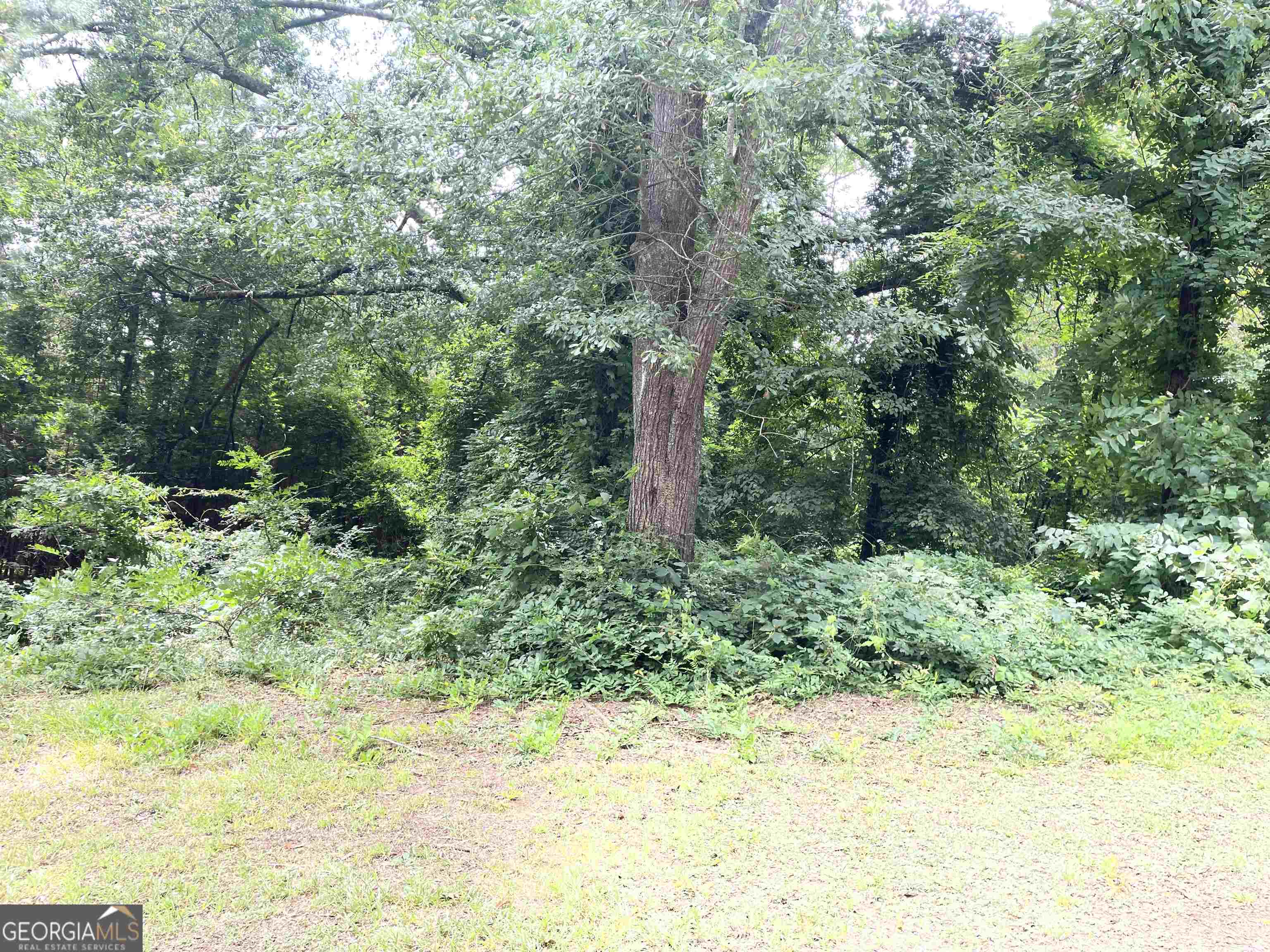 120 Bruce Road Property Photo 13