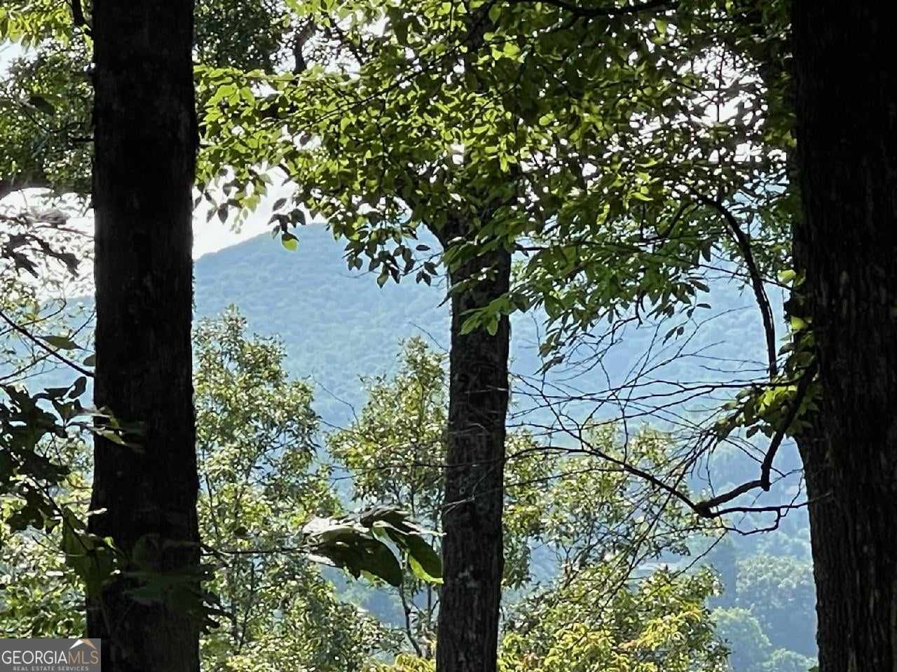 0 Ridgepole/covered Bridge Lot 150 Property Photo 1