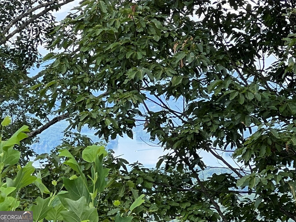 Lot 73m Ridges Overlook Property Photo 2