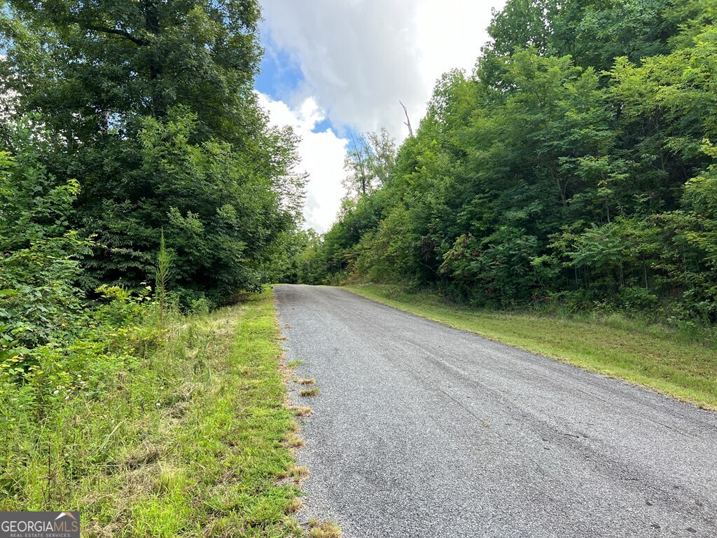 Lot 73m Ridges Overlook Property Photo 3