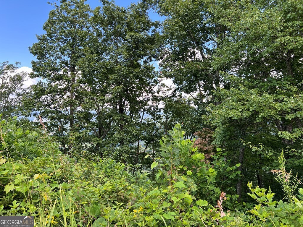 Lot 73m Ridges Overlook Property Photo 4