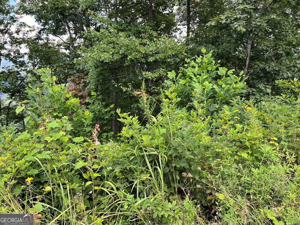 Lot 73m Ridges Overlook Property Photo 36