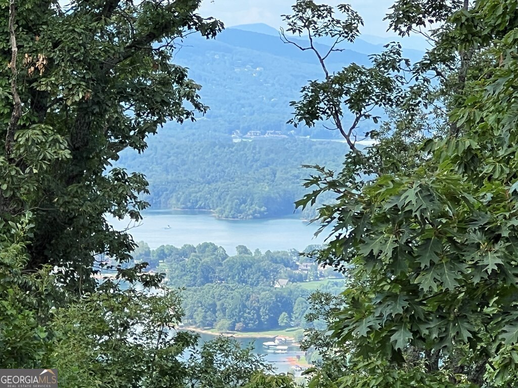 Lot 73m Ridges Overlook Property Photo 37