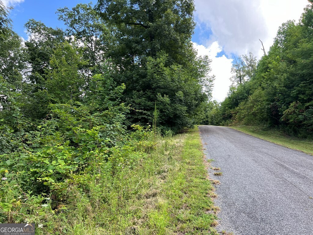 Lot 73m Ridges Overlook Property Photo 38