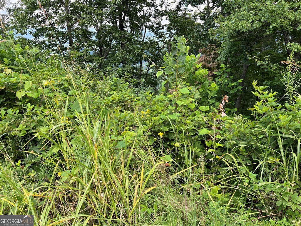 Lot 73m Ridges Overlook Property Photo 39