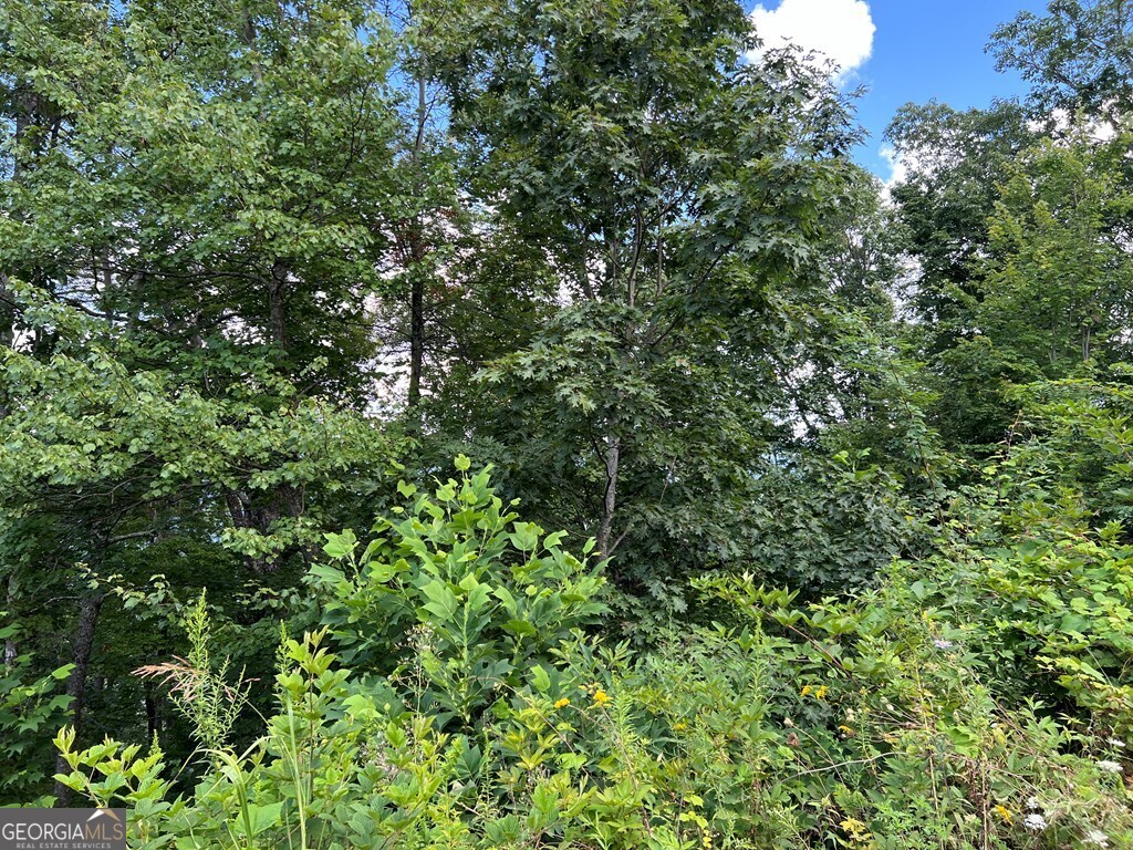 Lot 73m Ridges Overlook Property Photo 40