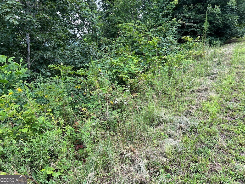 Lot 73m Ridges Overlook Property Photo 41
