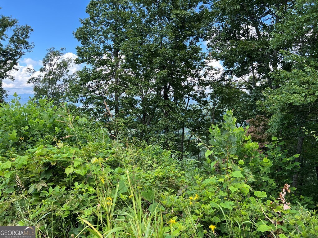 Lot 73m Ridges Overlook Property Photo 42