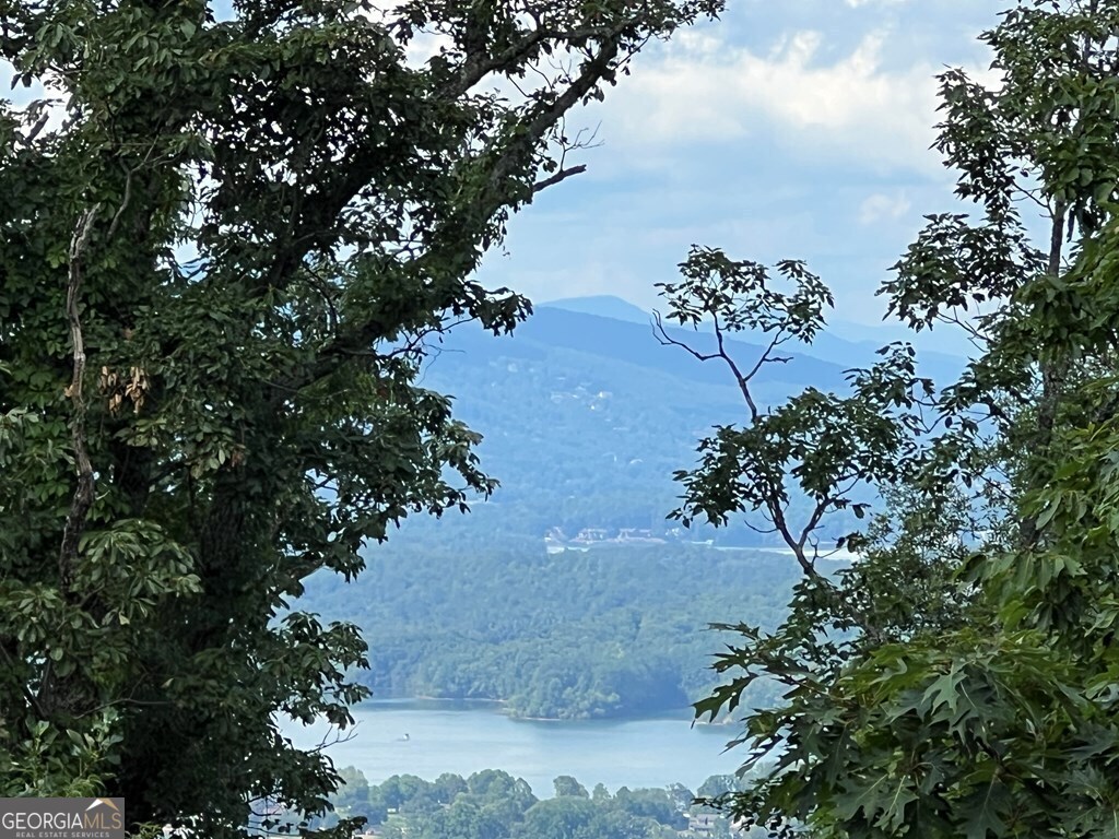 Lot 73m Ridges Overlook Property Photo 45