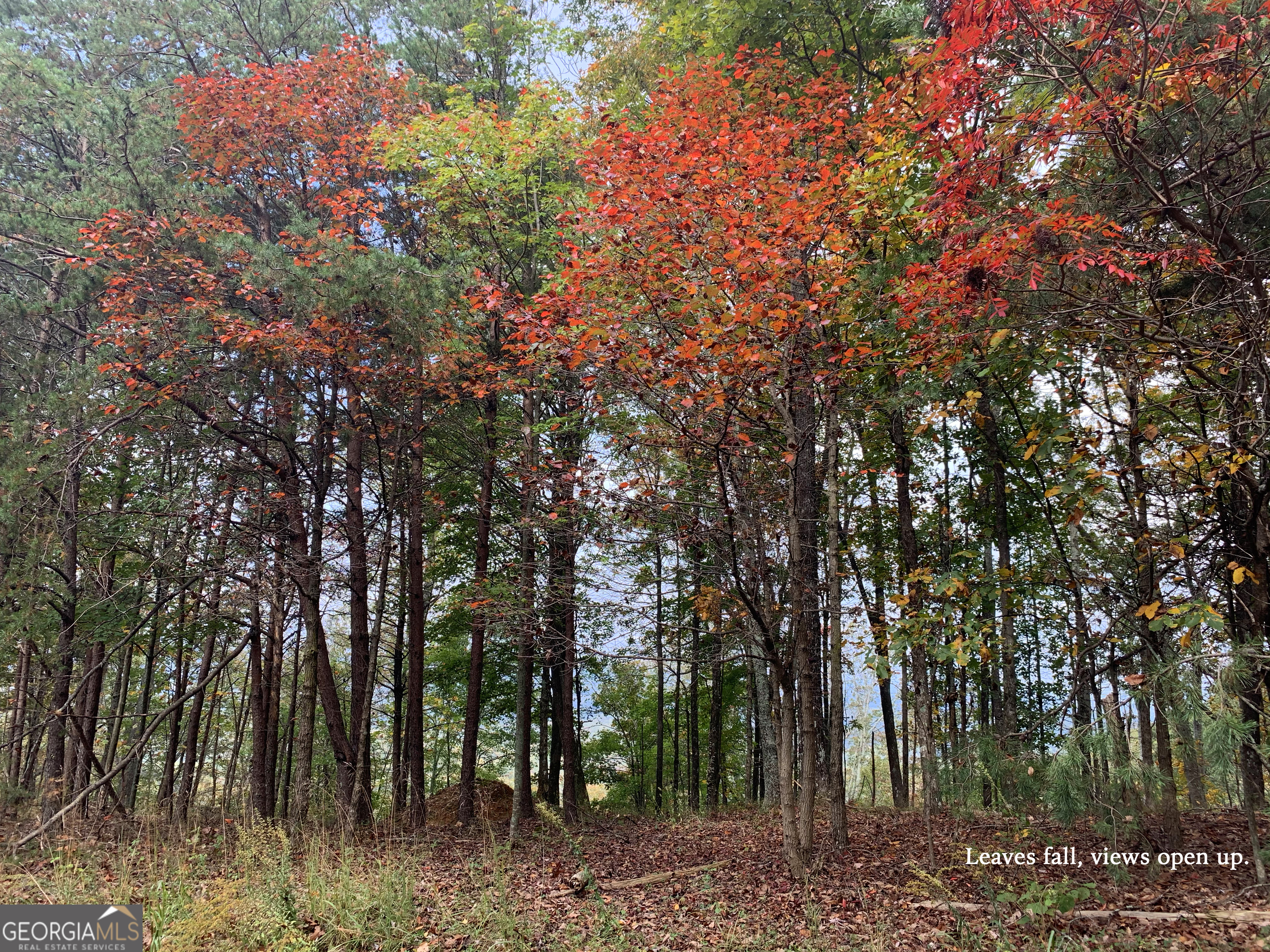 780 Nettle Lane Property Photo 19