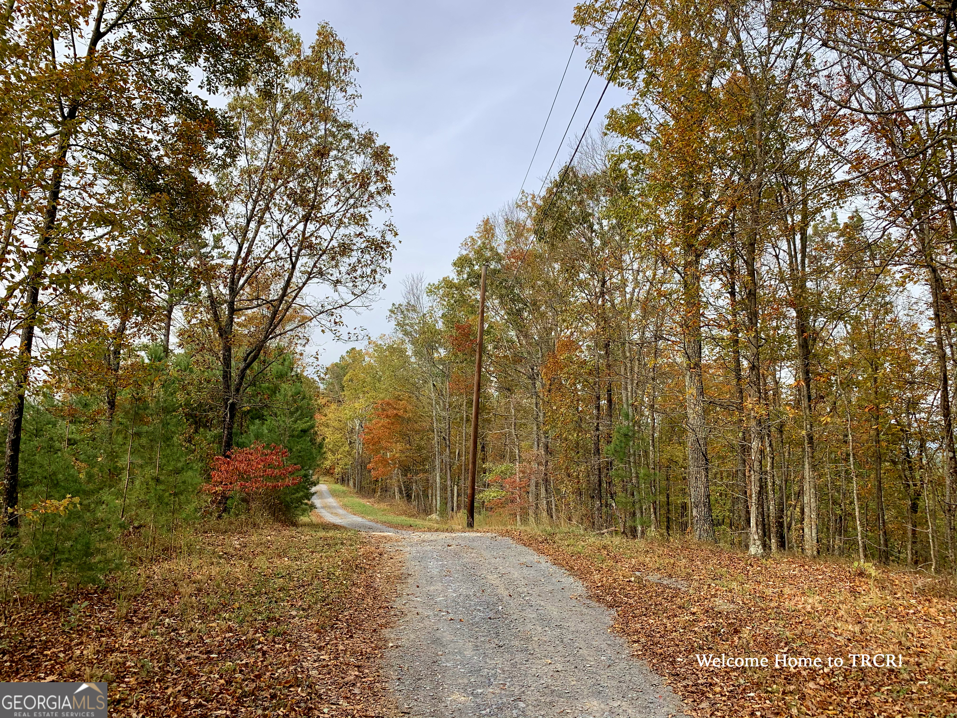 780 Nettle Lane Property Photo 22