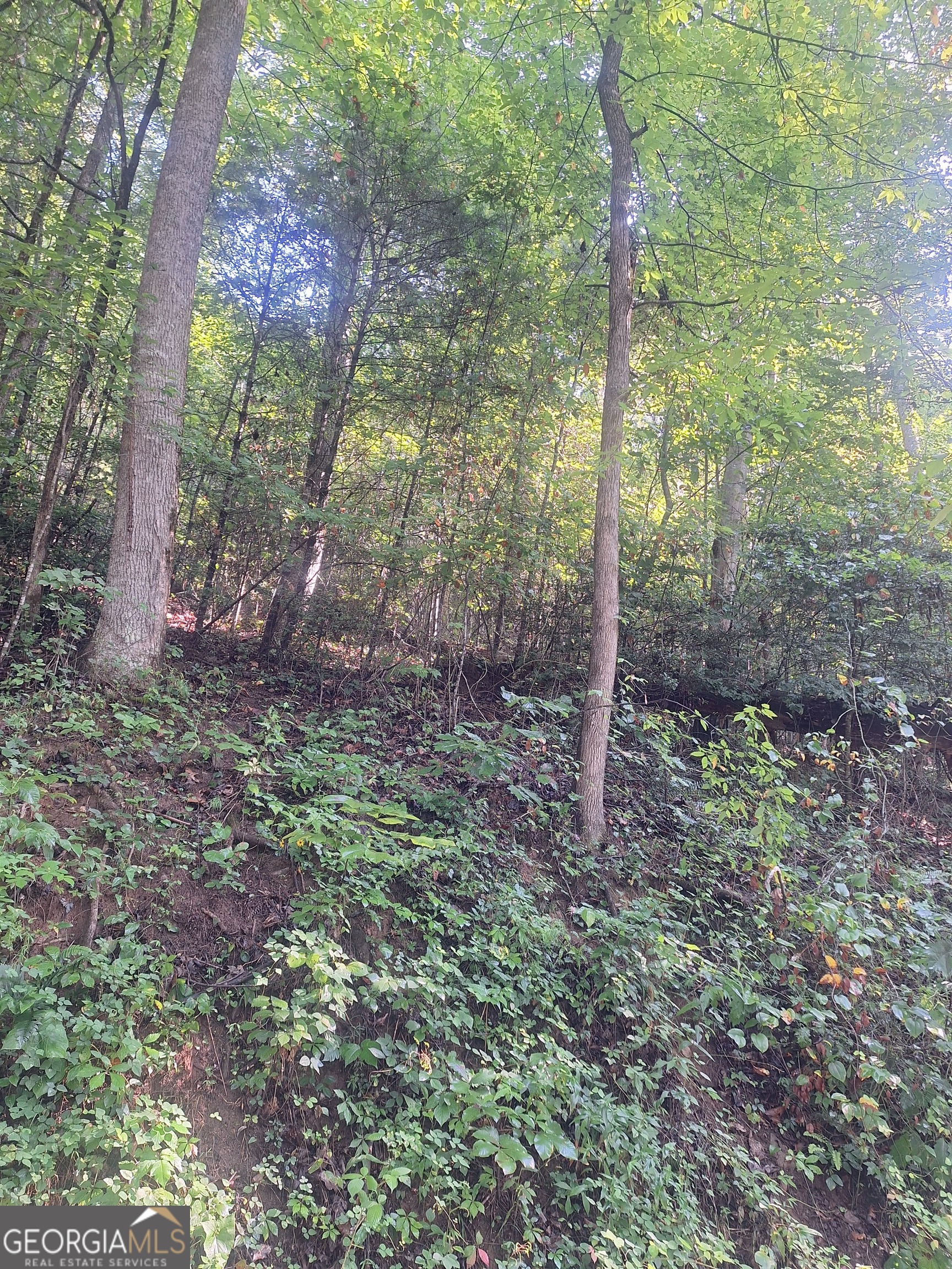 0 Coopers Creek Road Property Photo 5