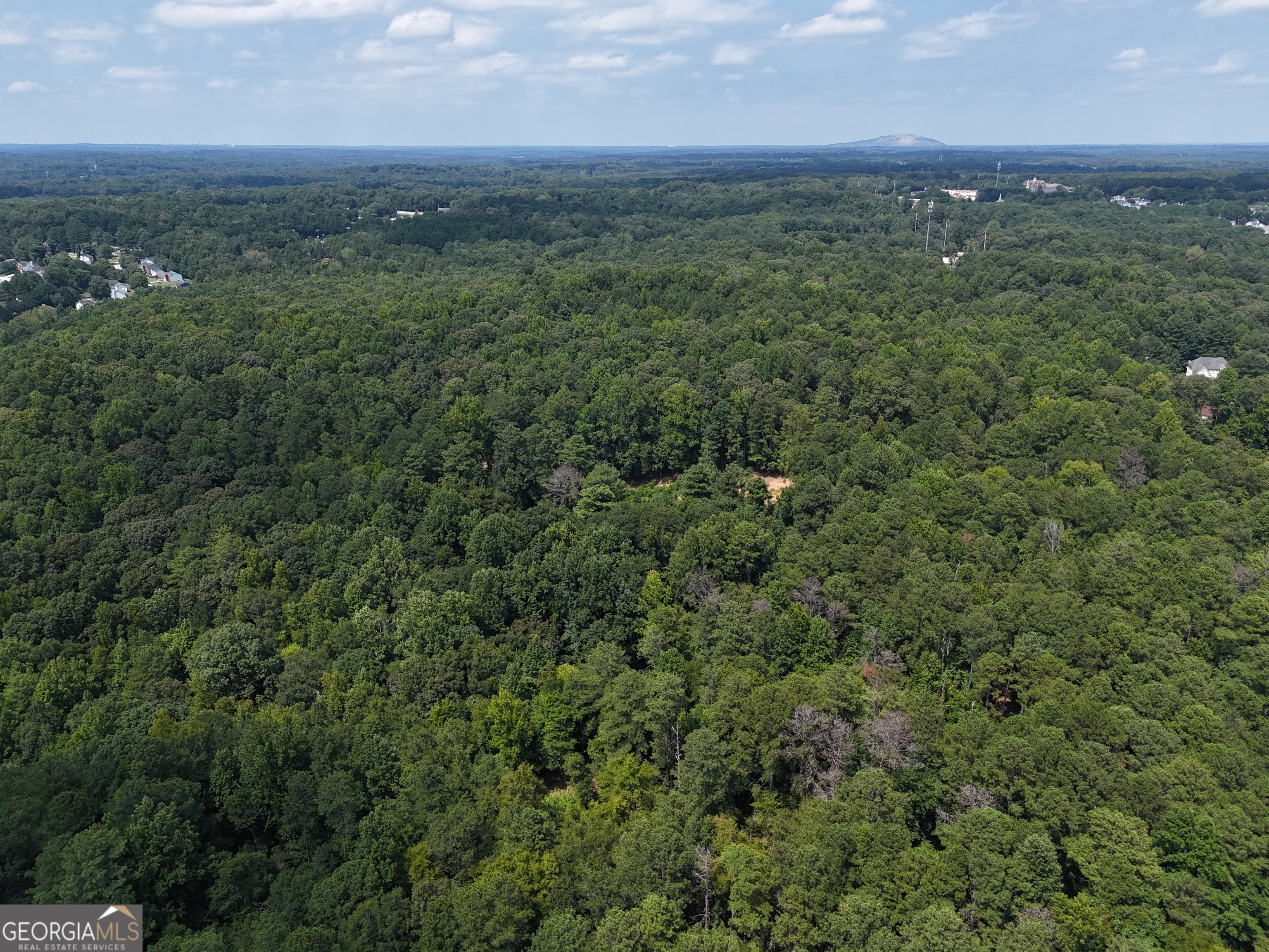 3961 Panola Road Property Photo 6