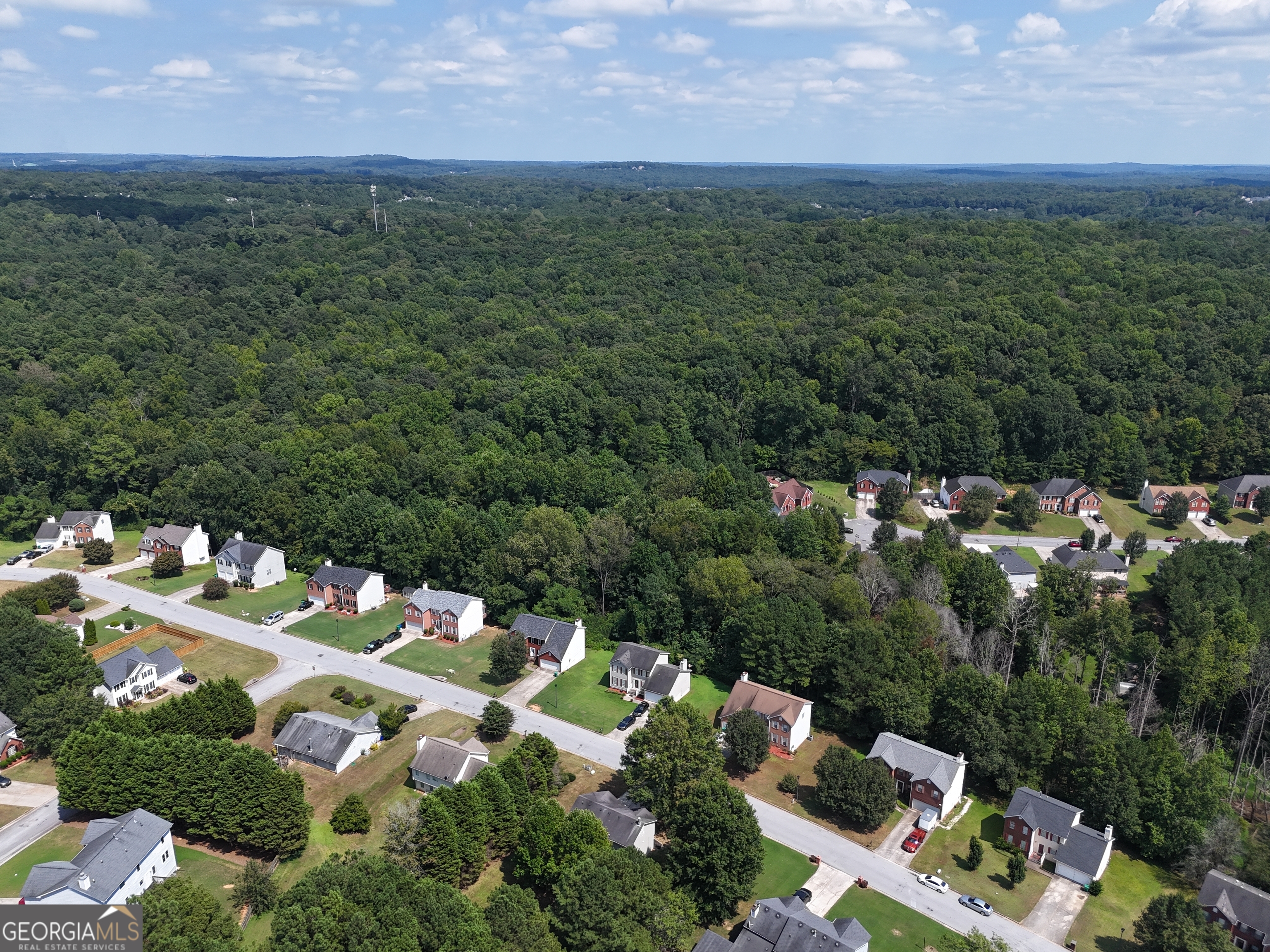 3961 Panola Road Property Photo 8