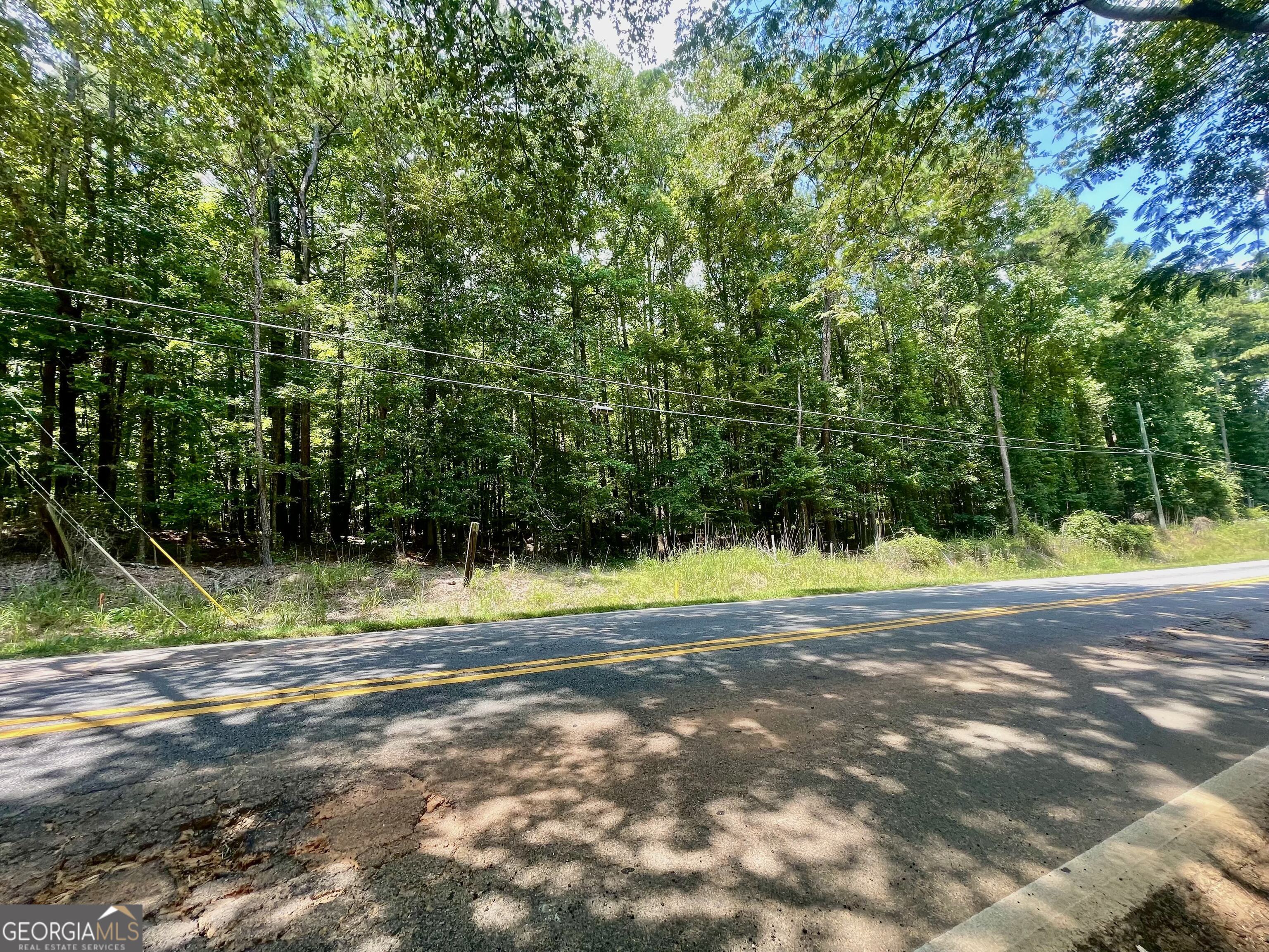 3961 Panola Road Property Photo 13