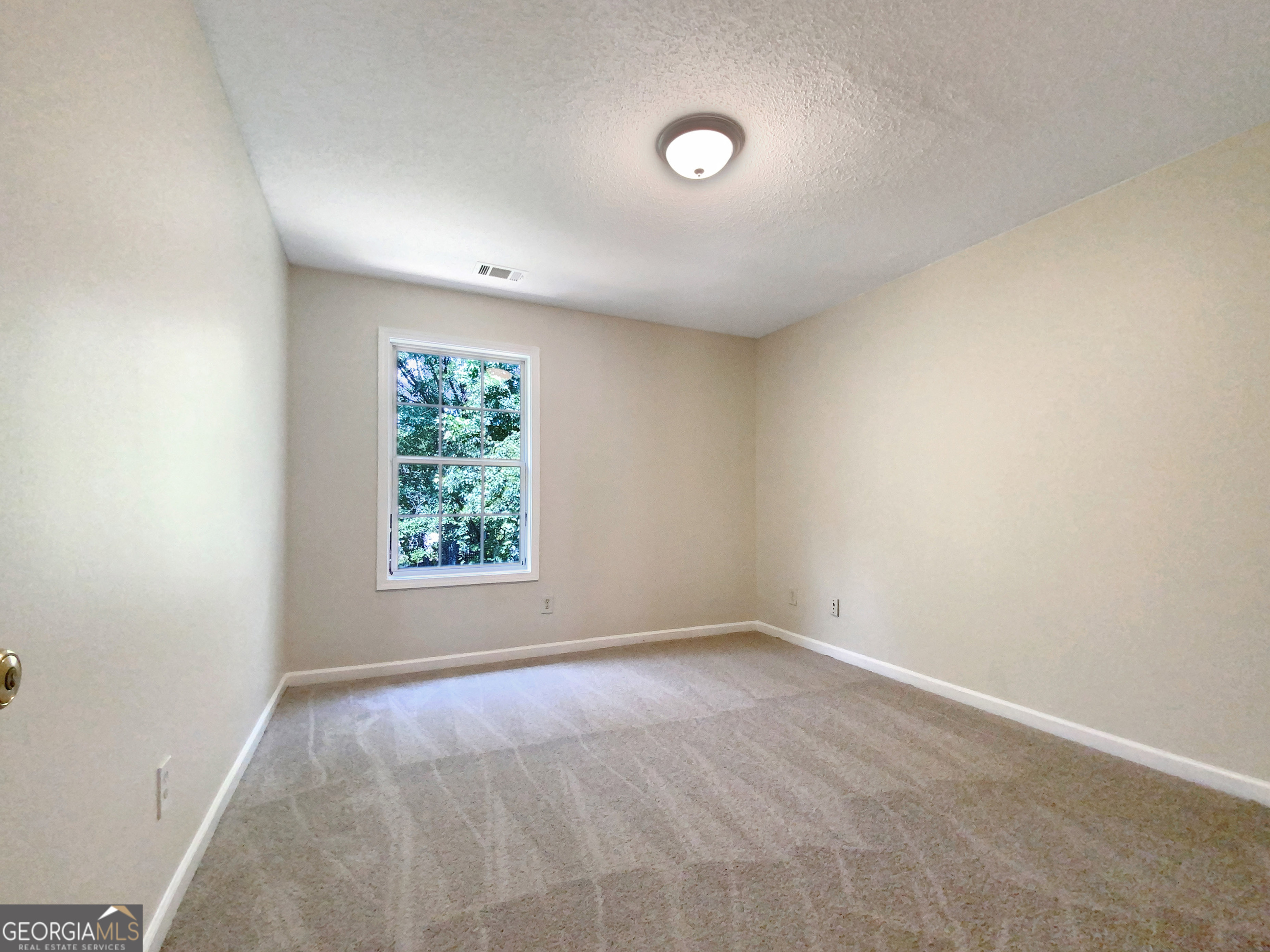 158 Prospect Path Property Photo 19
