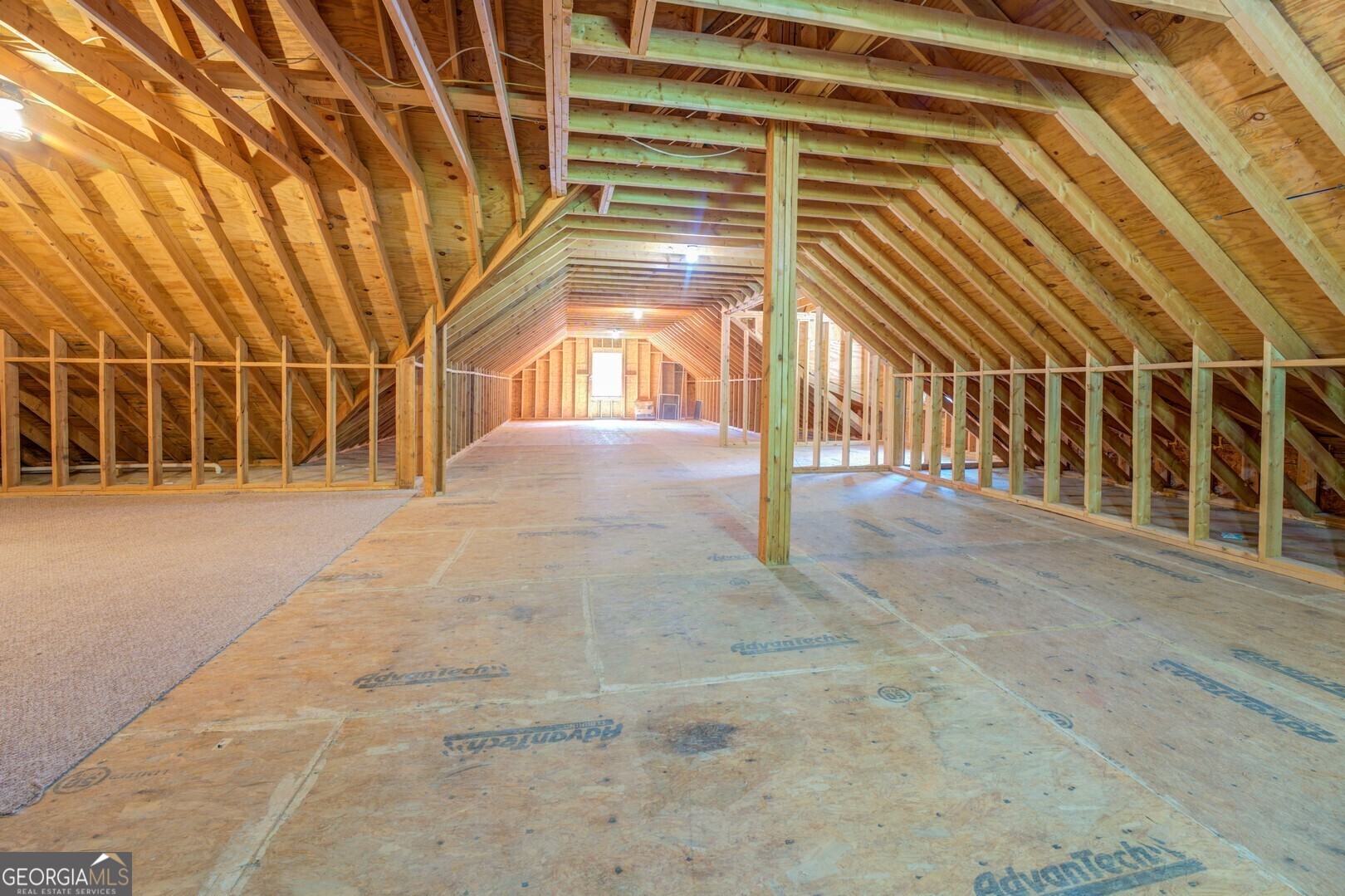 371 Oakland Road Property Photo 55