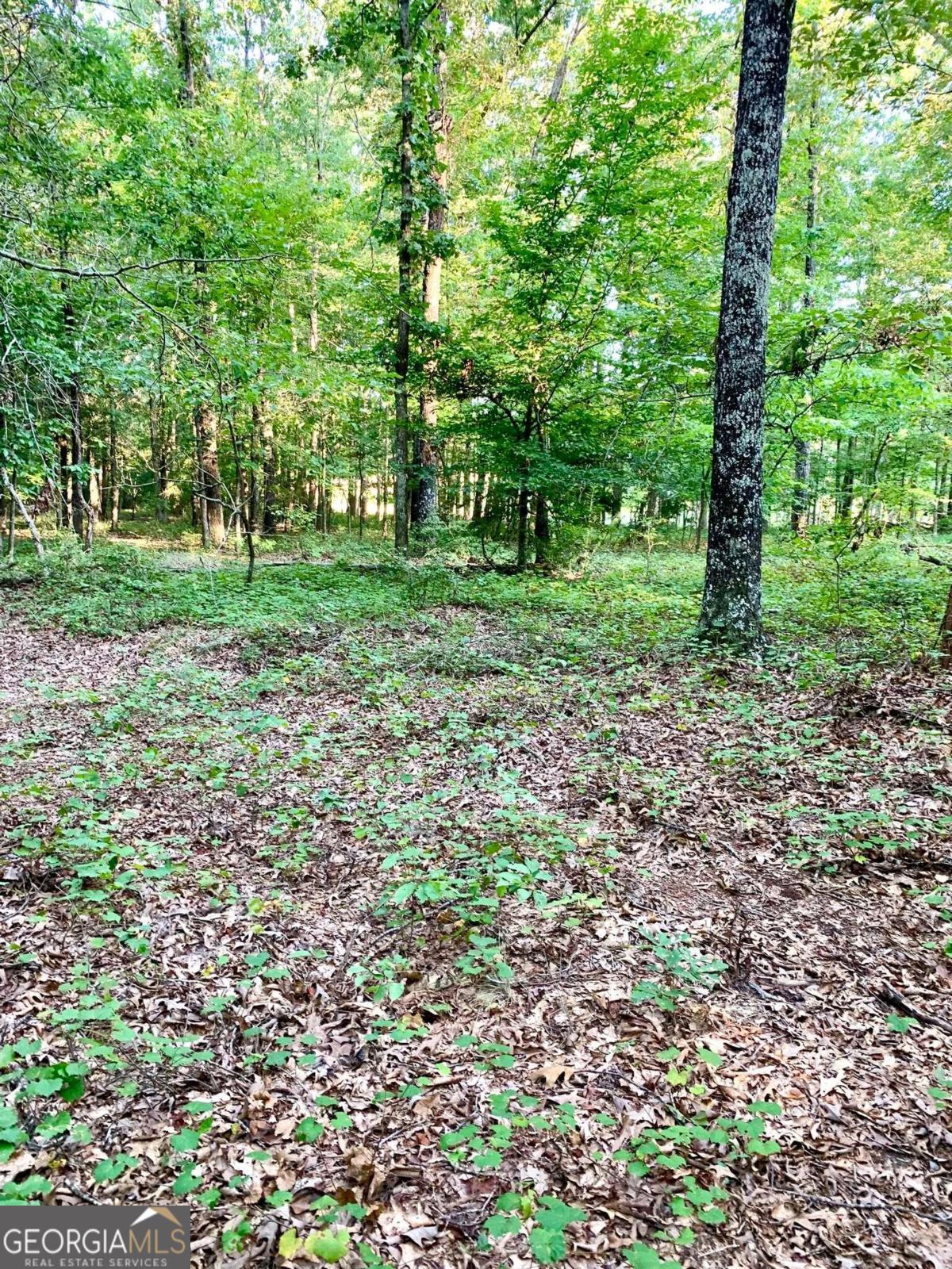 736 Archer Grove School Road Property Photo 32