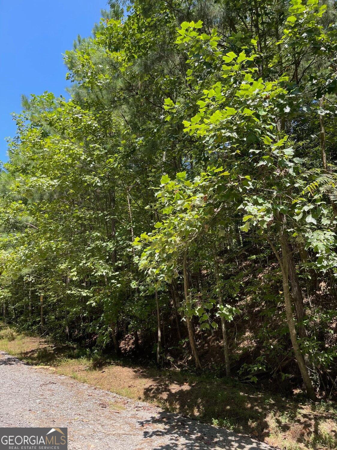 3.98 Acres Whitestone Drive Property Photo 1