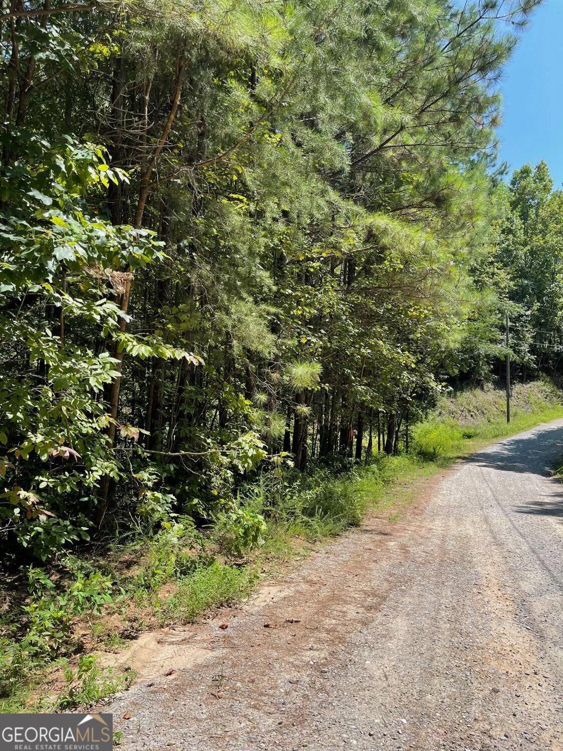3.98 Acres Whitestone Drive Property Photo 4