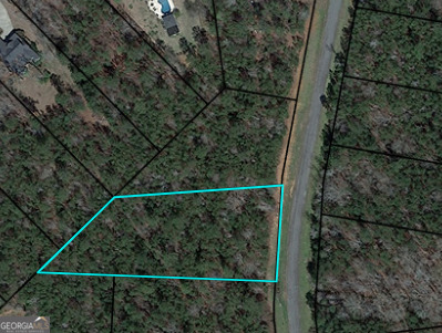 488 Willow Lake Drive Property Photo 1