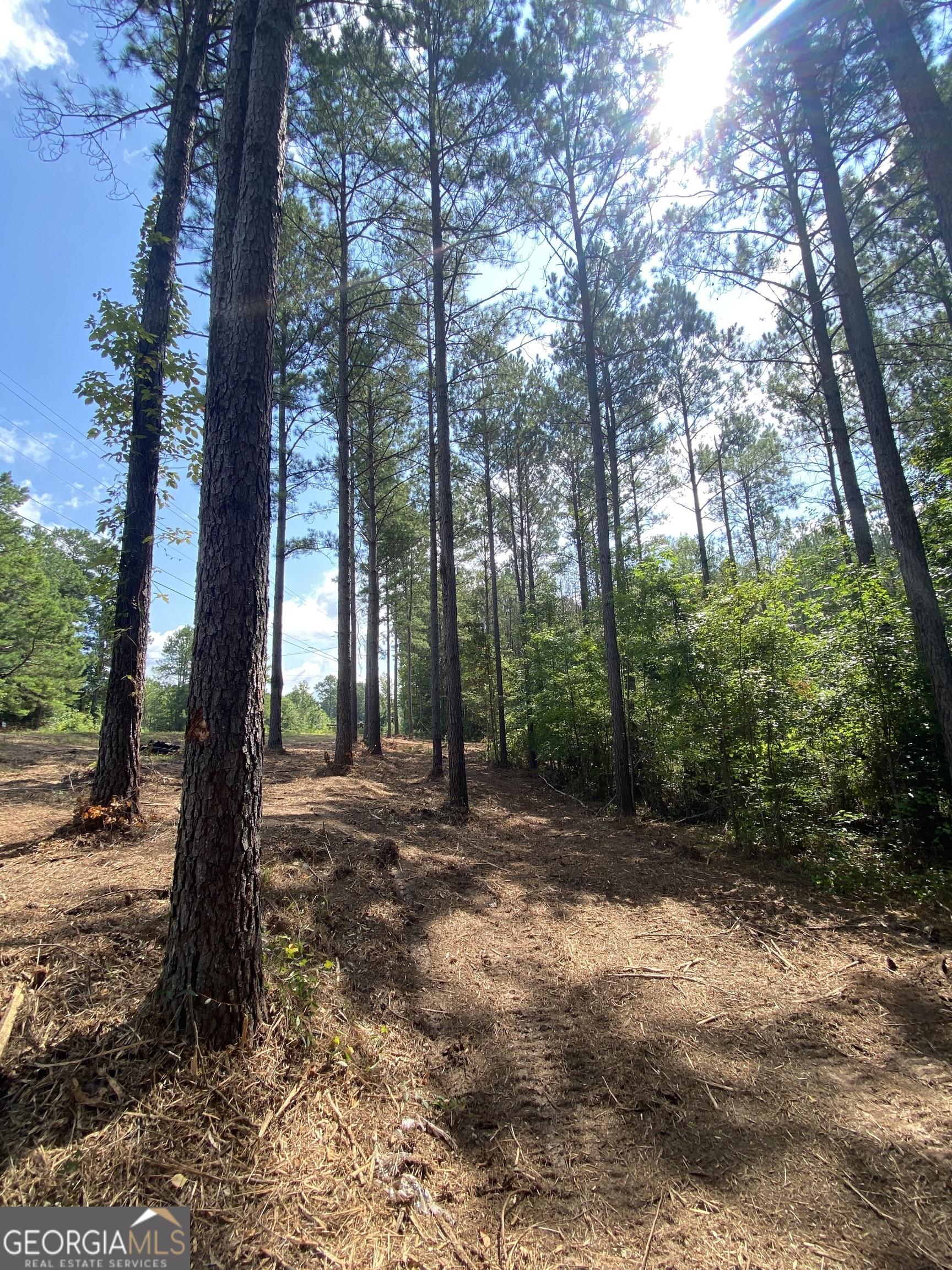0 Blue Cr Road Property Photo 12