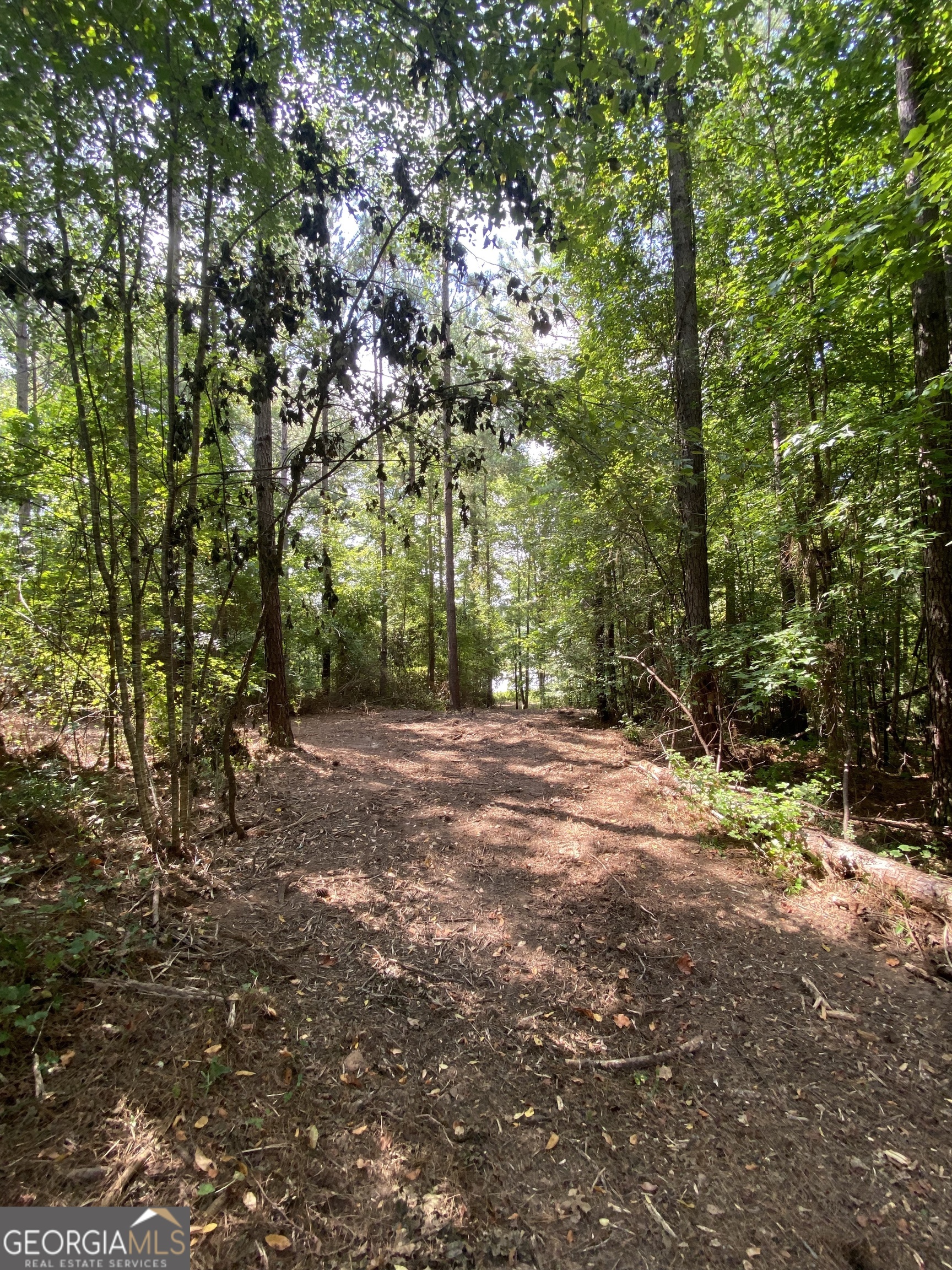 0 Blue Cr Road Property Photo 14