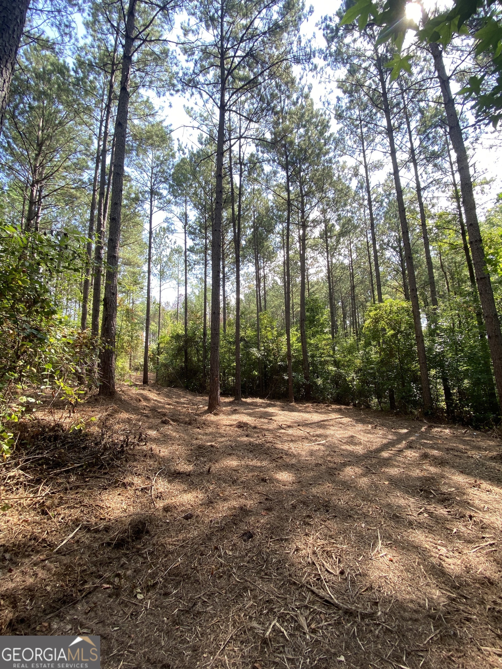 0 Blue Cr Road Property Photo 16