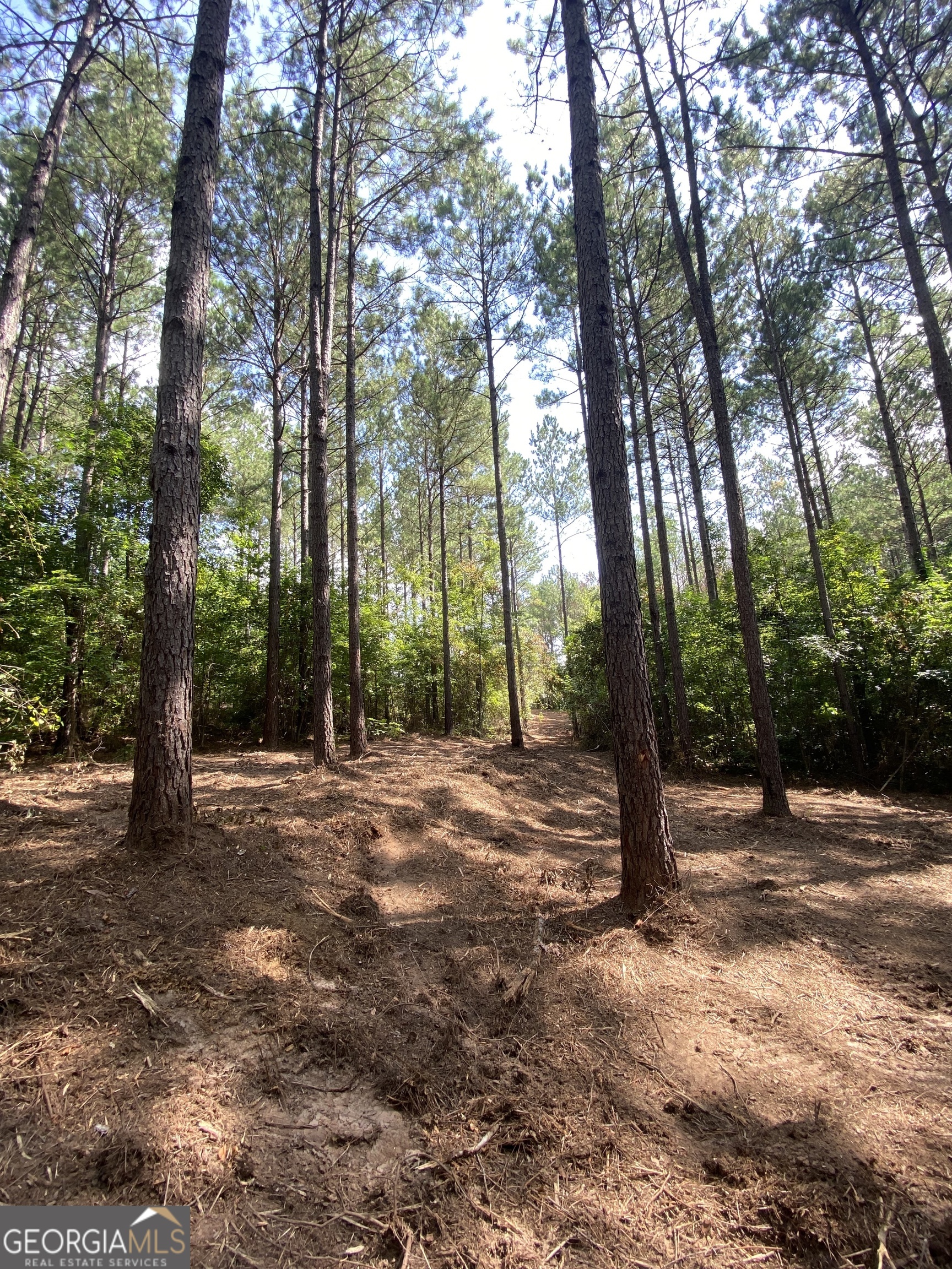 0 Blue Cr Road Property Photo 17