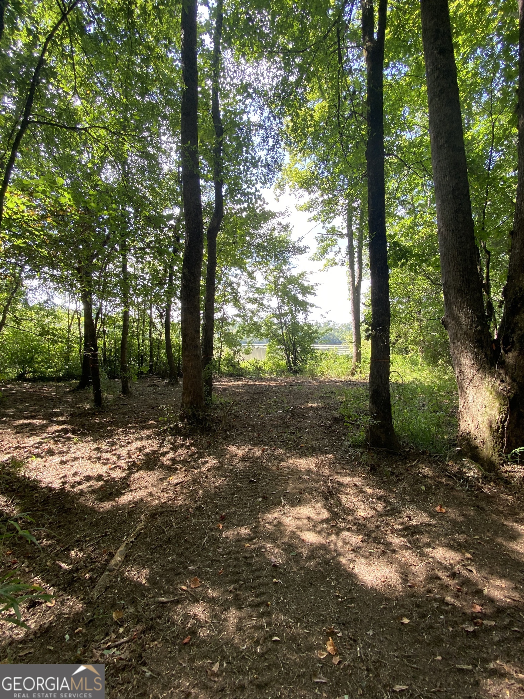 0 Blue Cr Road Property Photo 19
